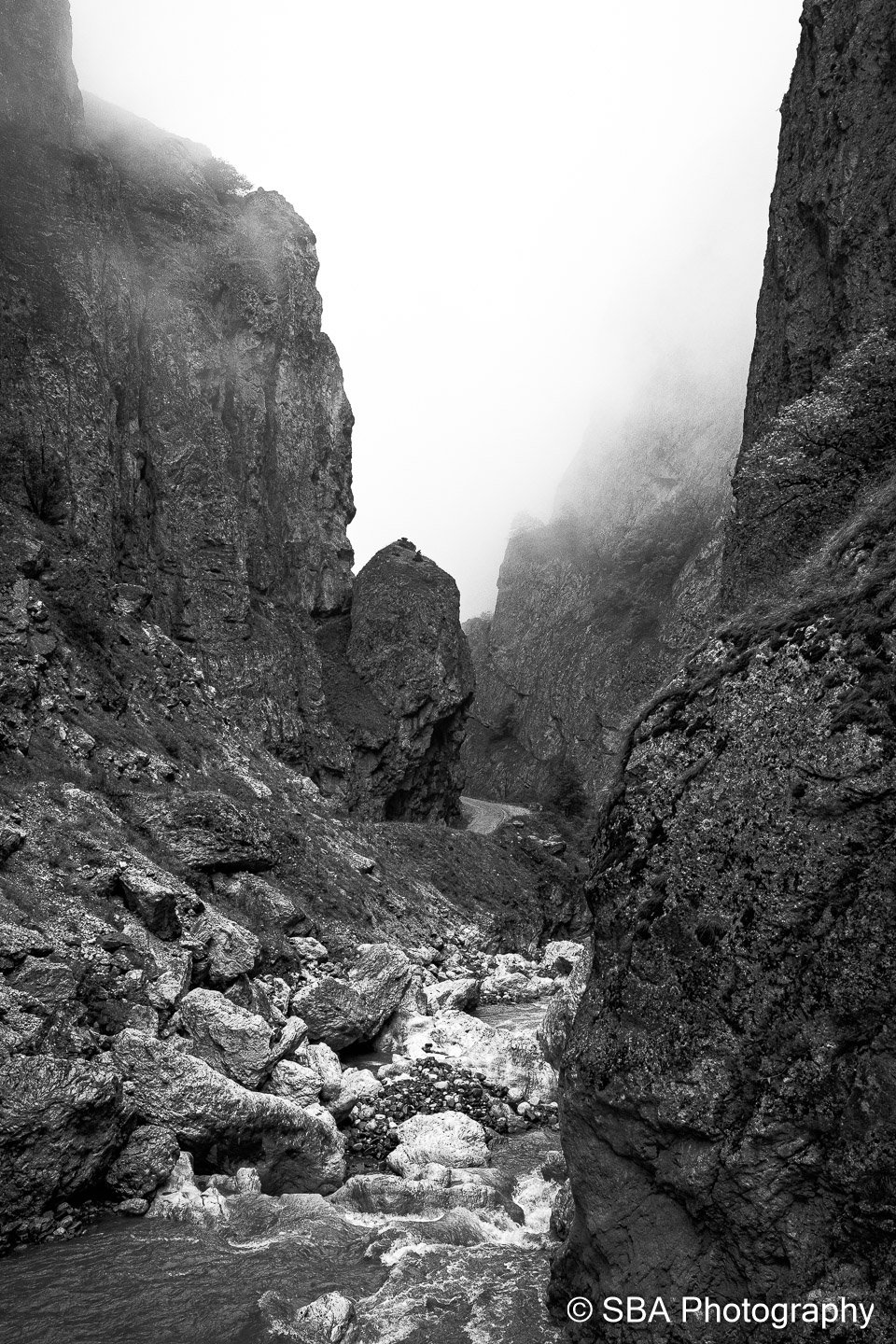 20240927-A7S06880.jpg