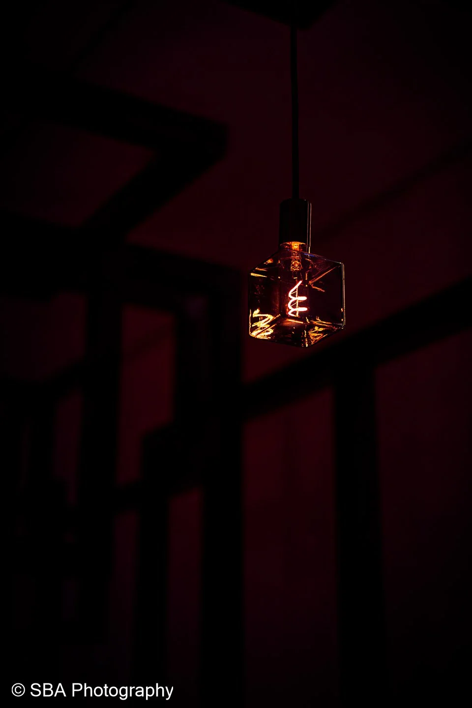 20240402-A7S02629-Avec accentuation-Bruit.jpg