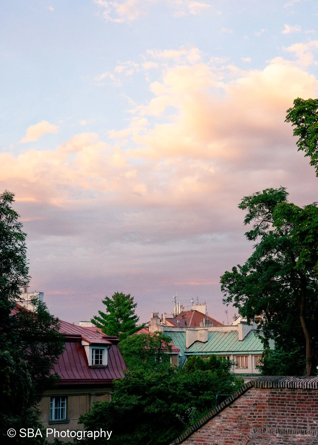 25082023-DSC_3523.jpg
