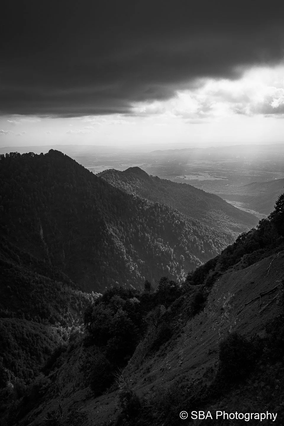 20240925-A7S06644.jpg