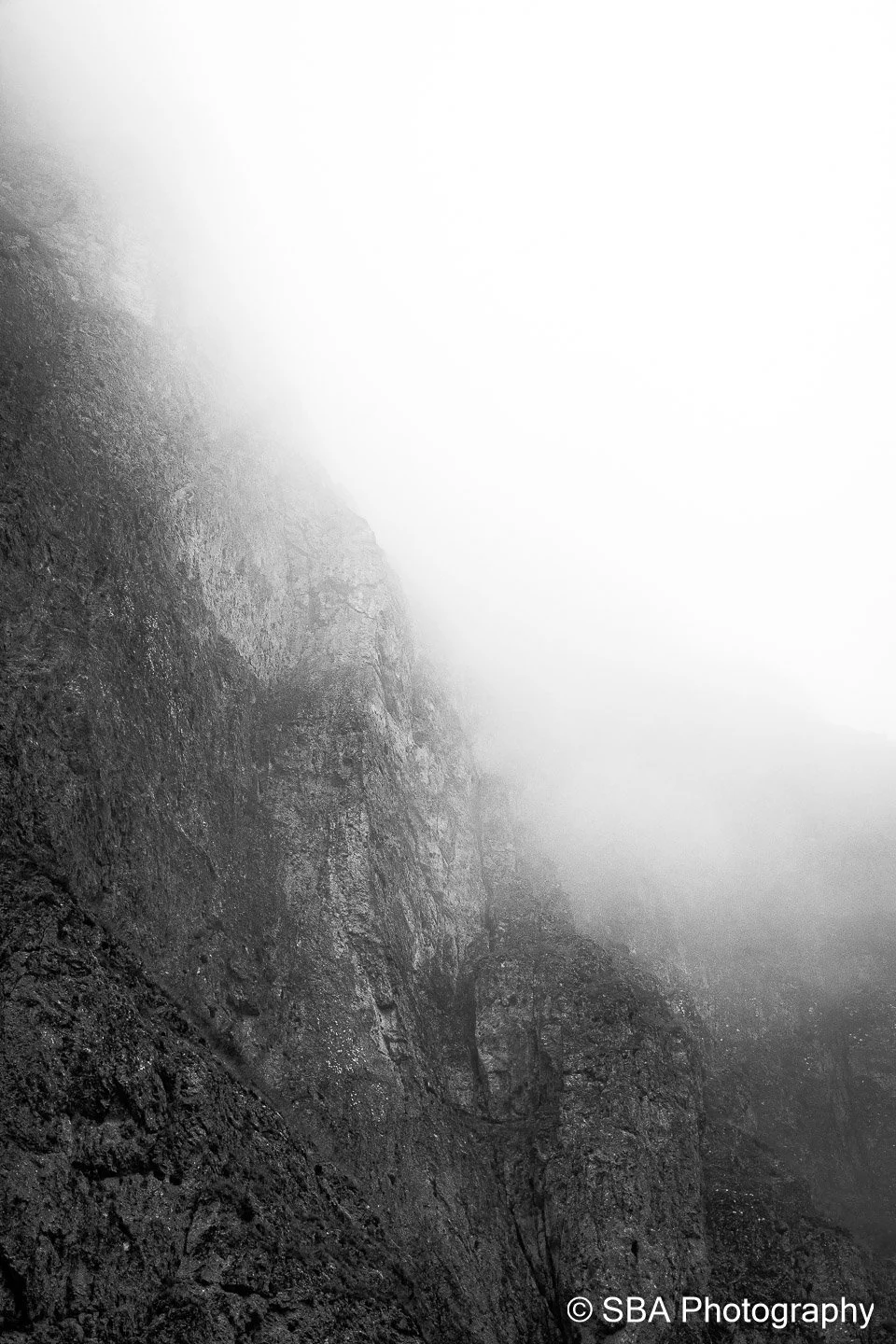 20240927-A7S06885.jpg