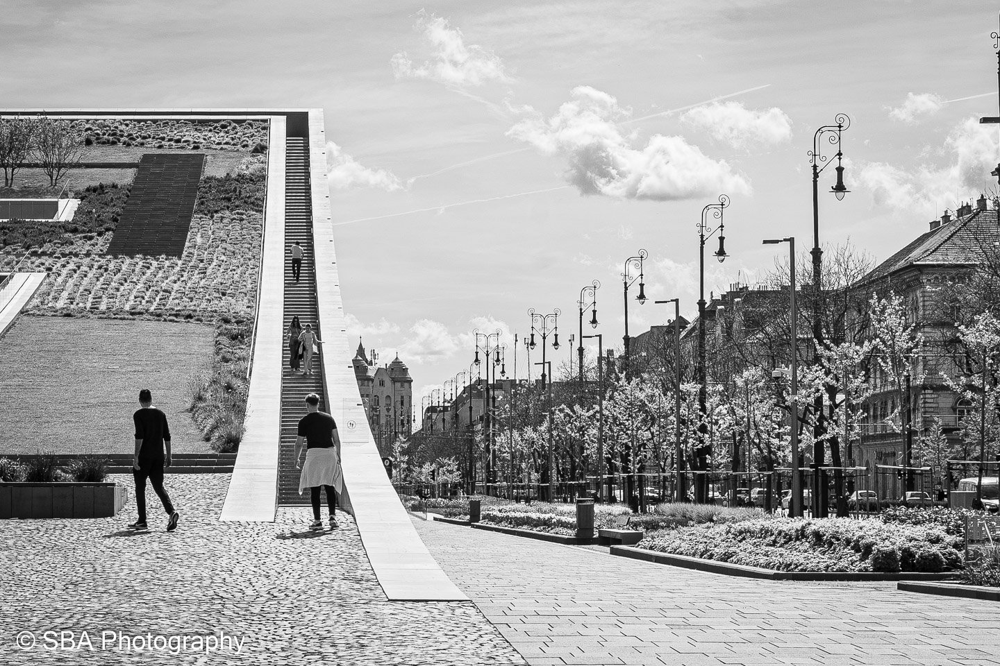 20240405-A7S03279.jpg