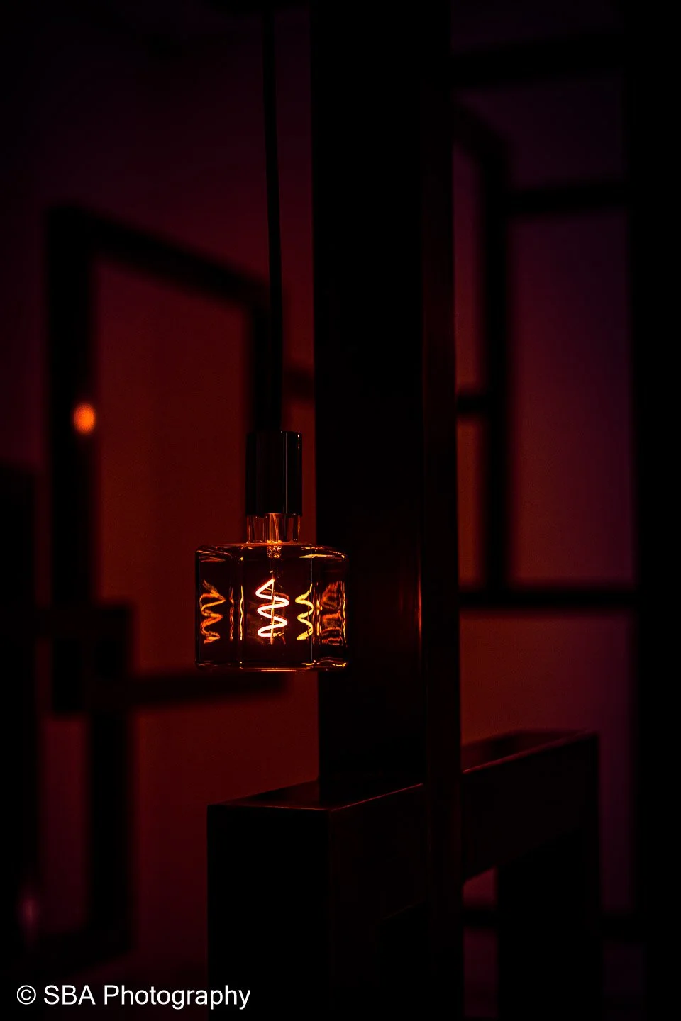 20240402-A7S02623-Avec accentuation-Bruit.jpg