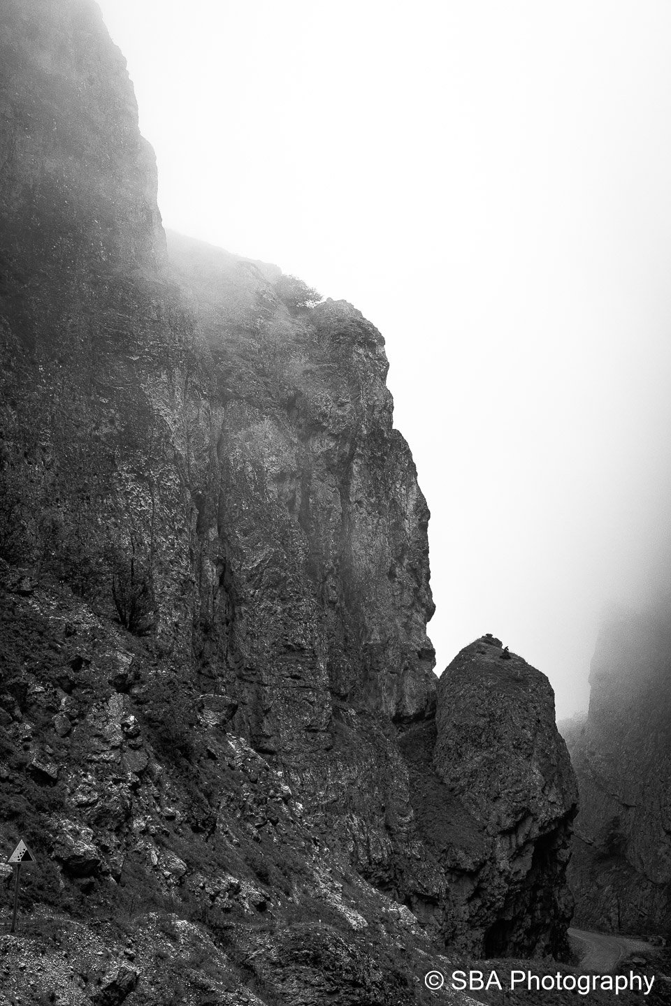 20240927-A7S06884.jpg
