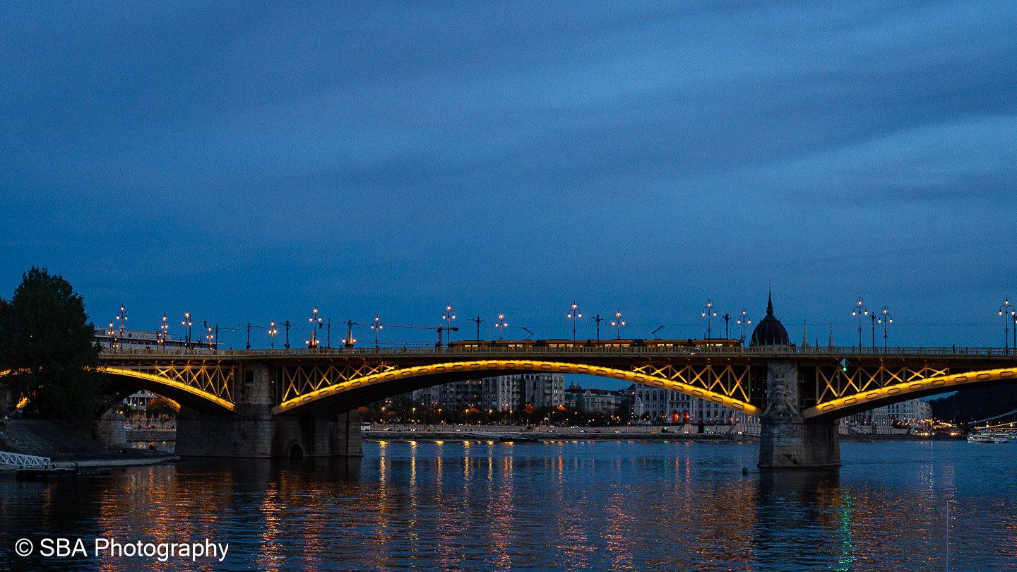 20240404-A7S03103-Avec accentuation-Bruit.jpg