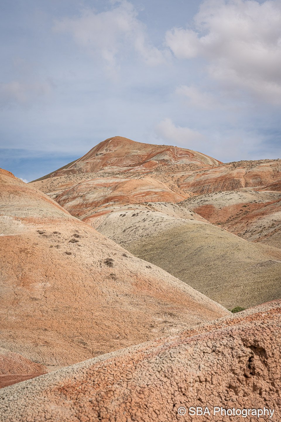 20240927-A7S06834.jpg