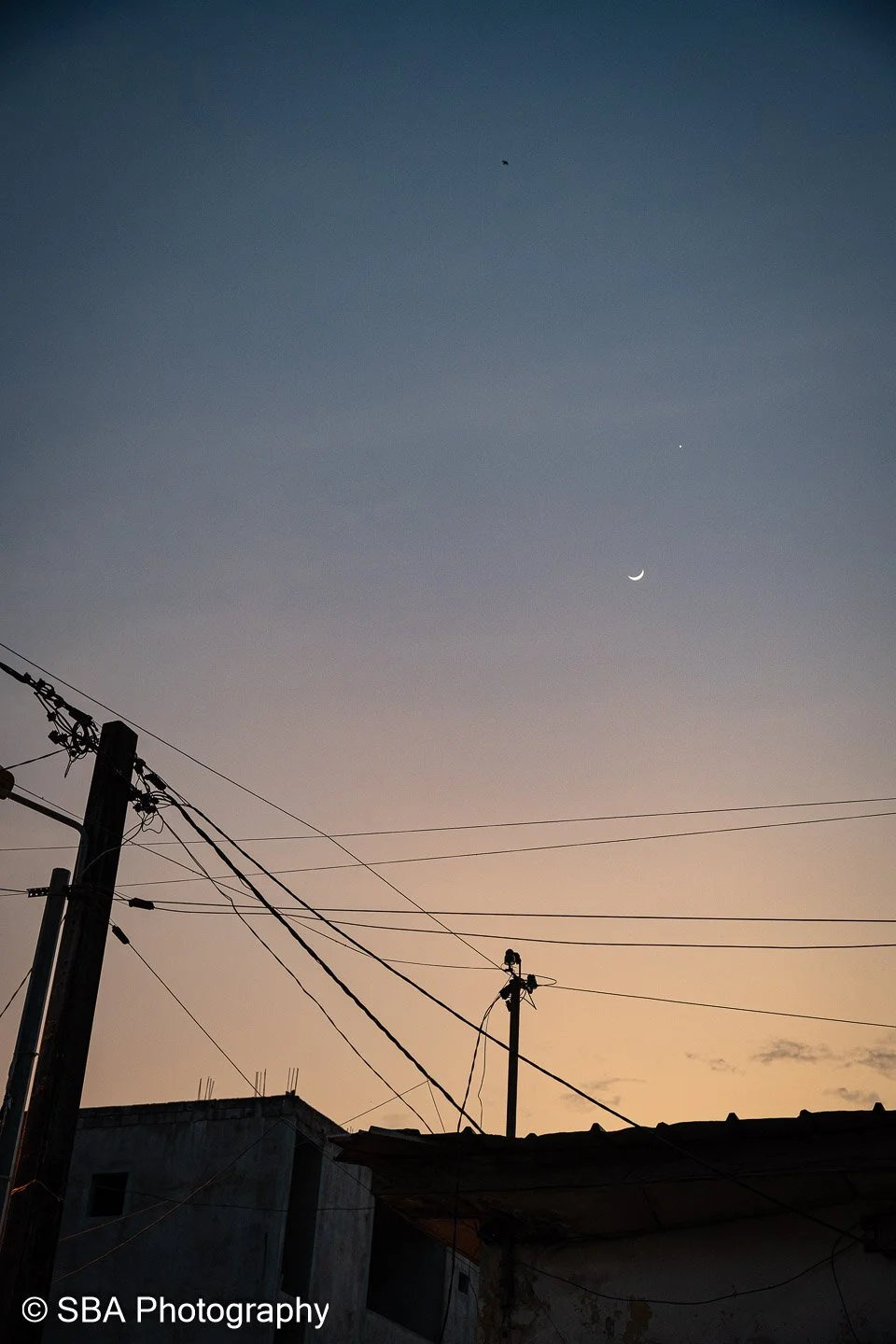 20241204-A7S08142.jpg