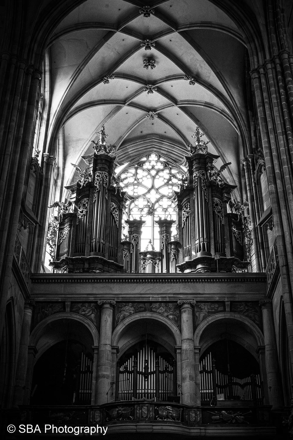 22082023-DSC_2178-Avec accentuation-Bruit.jpg