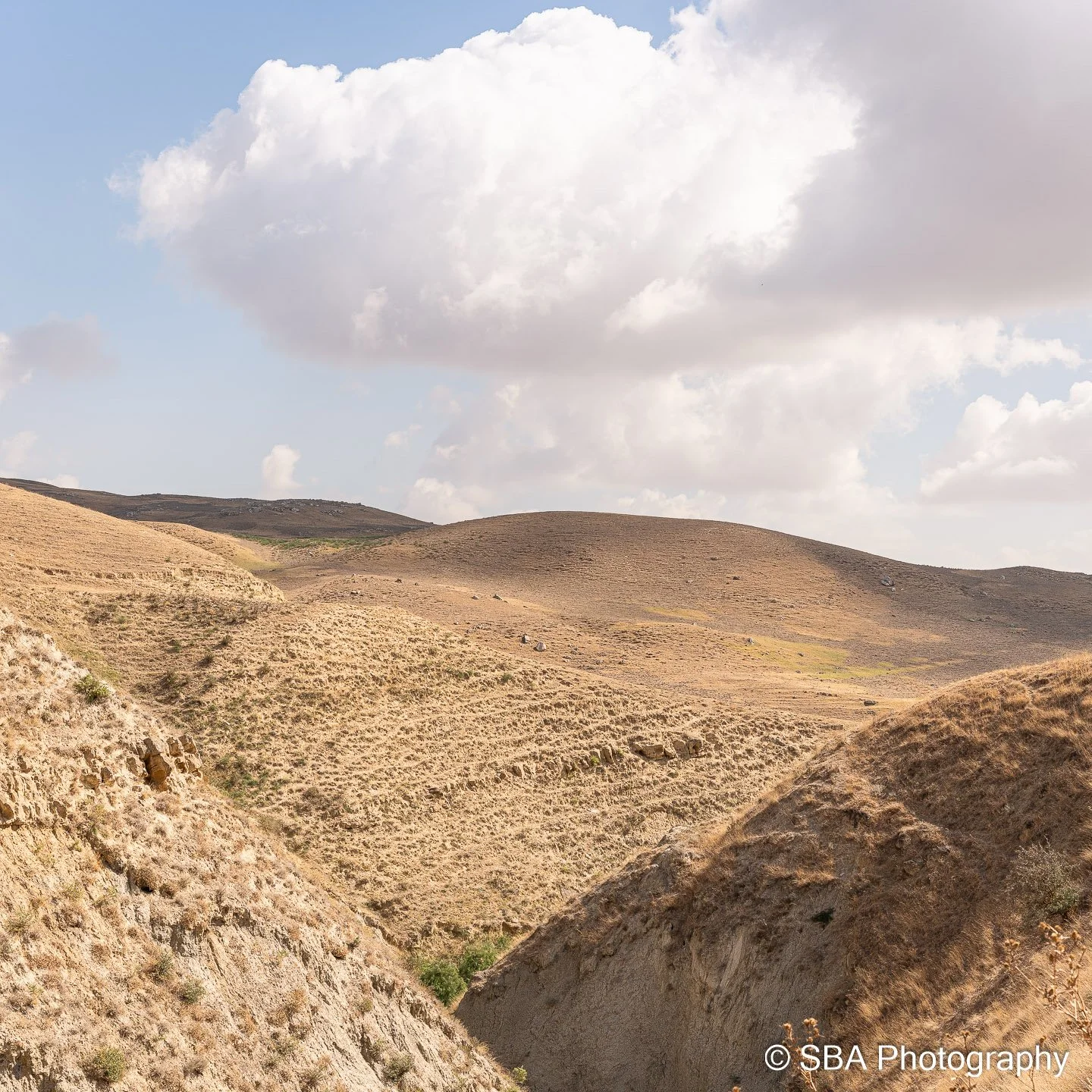 20240925-A7S06548-Pano.jpg