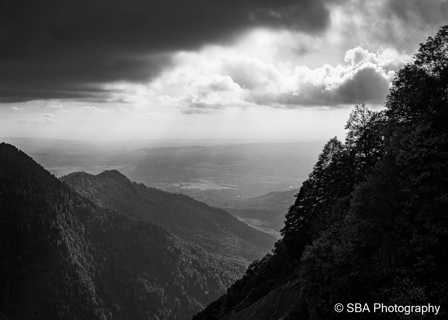 20240925-A7S06658-Pano.jpg