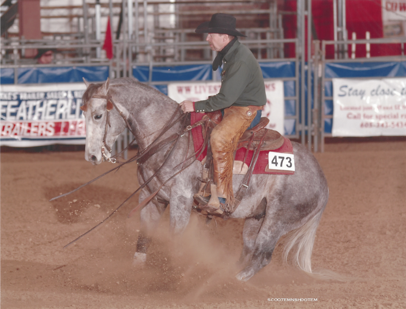Stallions — Box K Horton Ranch