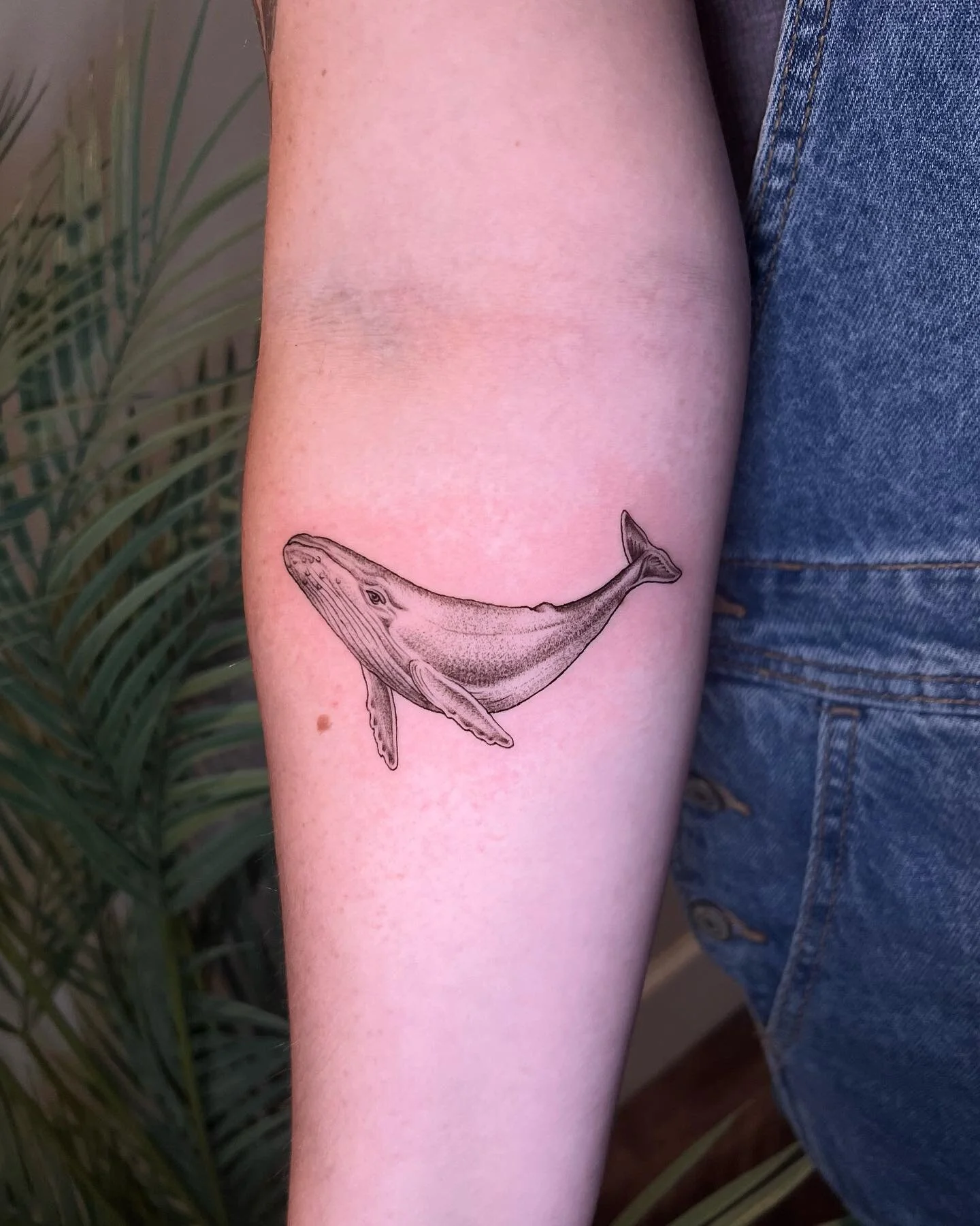 Humpback whale by artist @josephineleighton 

dm us or email her at tattoosbyjosephine@gmail.com