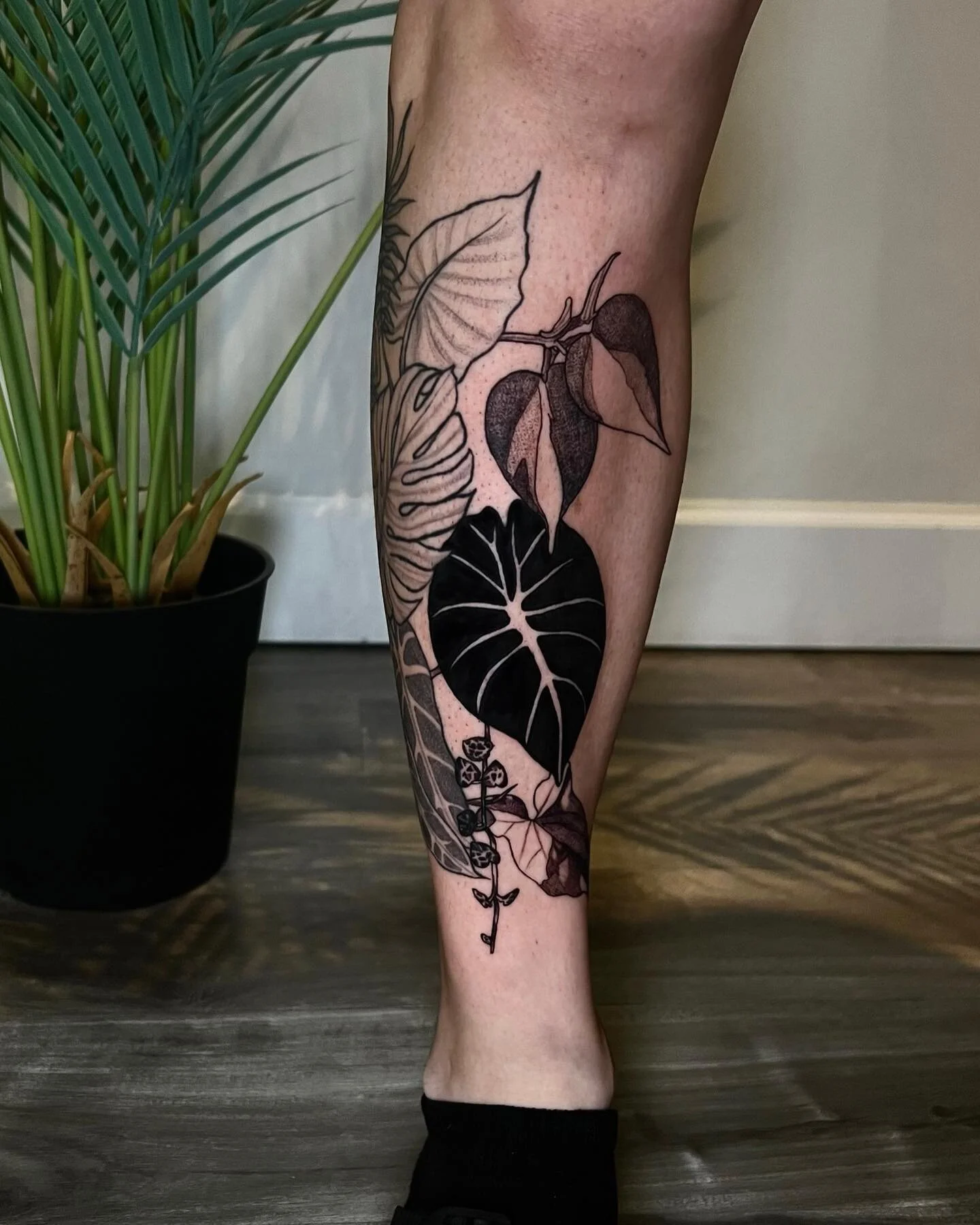 Houseplants by artist @josephineleighton 

dm us or email her at tattoosbyjosephine@gmail.com

#texastattooartist #dallastattooartist #dallasartist #dallastattoo #dallastattoos  #femaletattooartist #houseplants #houseplanttattoo #alocasiatattoo #phil