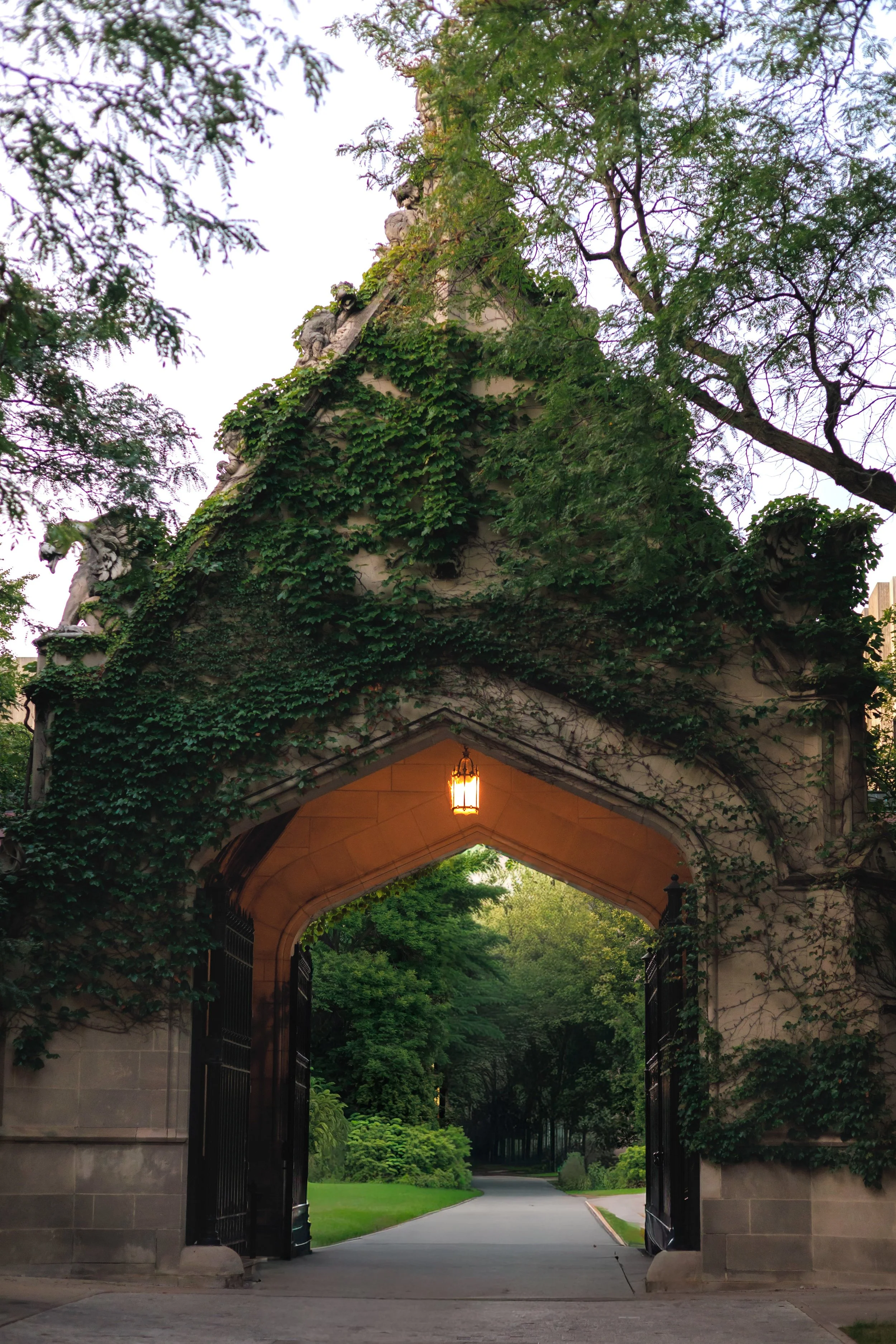 Entrance archway with a stone structure covered in green ivy, open black gates, illuminated lantern hanging inside, lush green trees and pathway beyond.