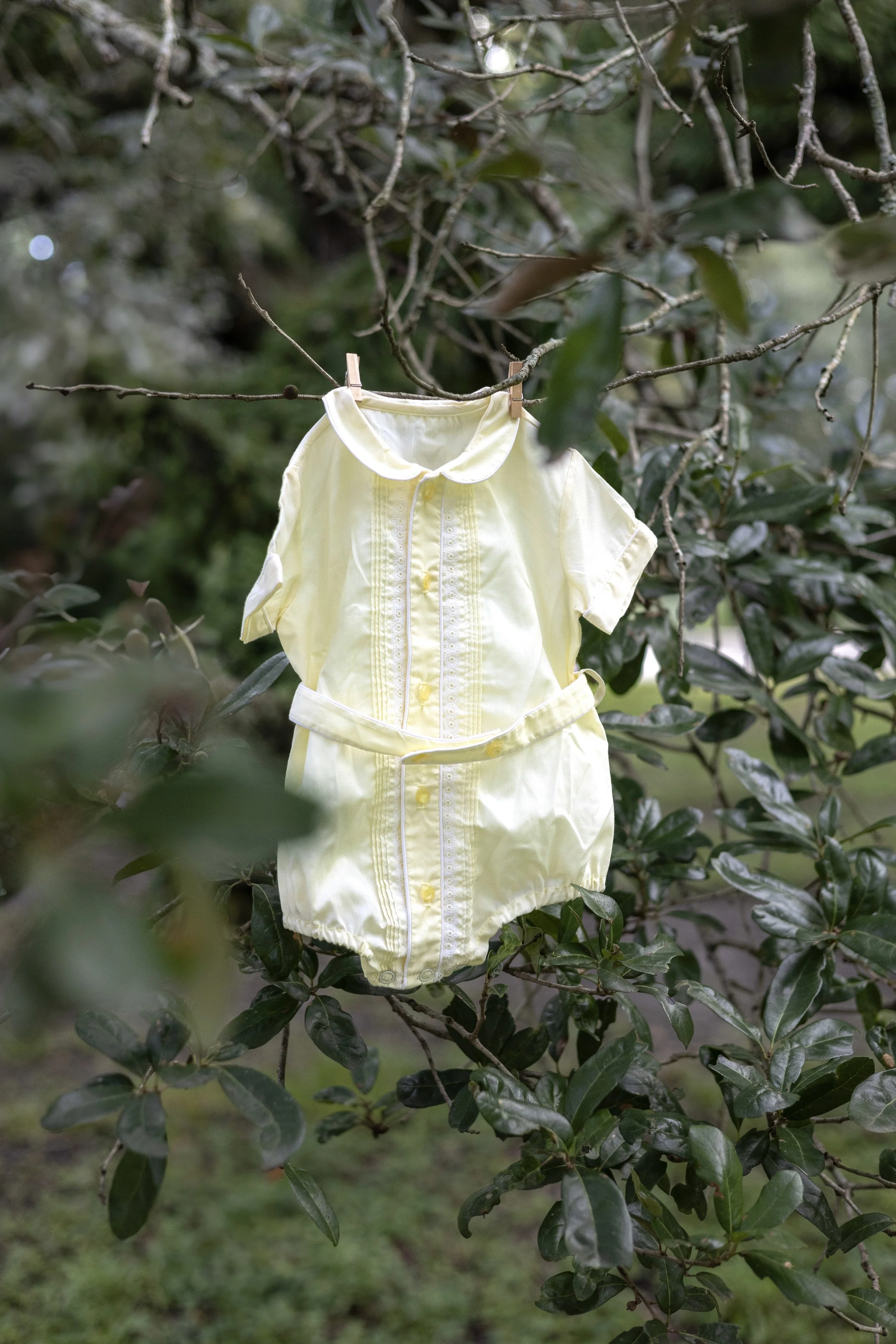 Chicago maternity photographer capturing a quiet, intimate maternity moment with  yellow baby clothes hanging on tree.