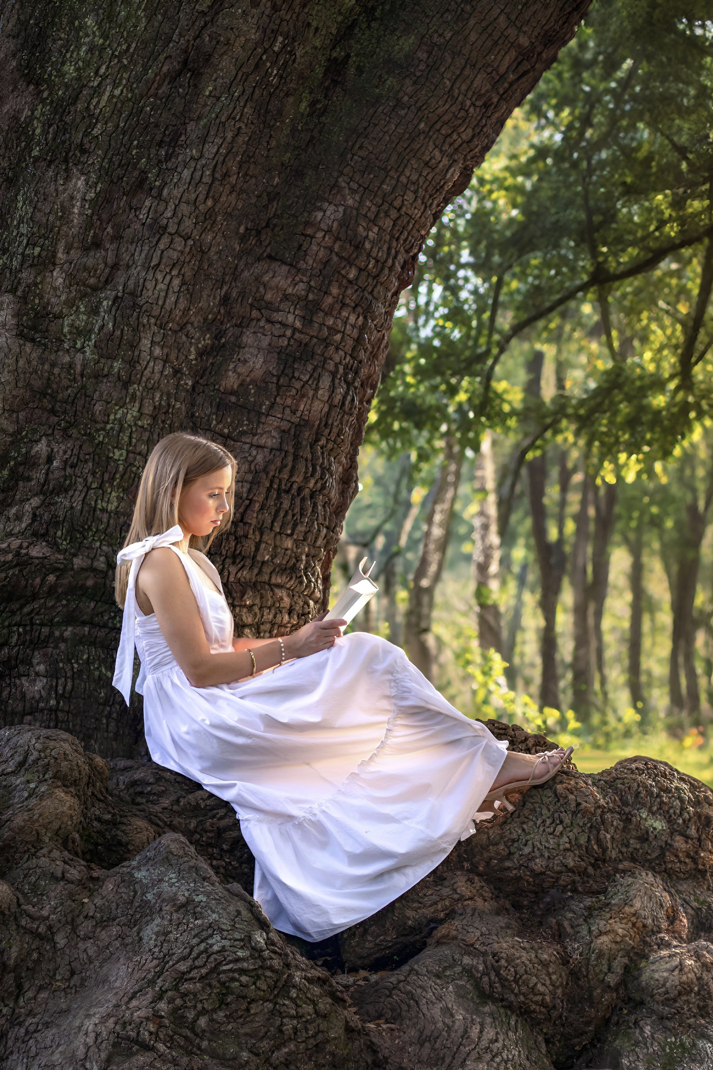 Woman in a white dress reading on a large tree trunk in a forest.
