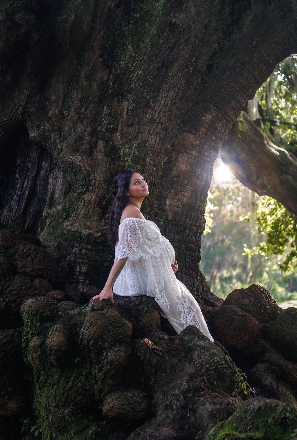 Chicago maternity photographer capturing a pregnant woman in a flowing white lace dress seated within the roots of a large tree, soft light filtering through creating an intimate and ethereal outdoor portrait