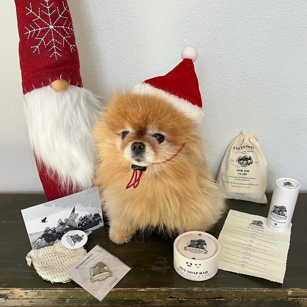 Weee! @dolliethepom is pawrfect! 🐾 she&rsquo;d be a great helper for Santa 🎅🏻 working on the naughty/nice list 📝 this year 🎄🎁