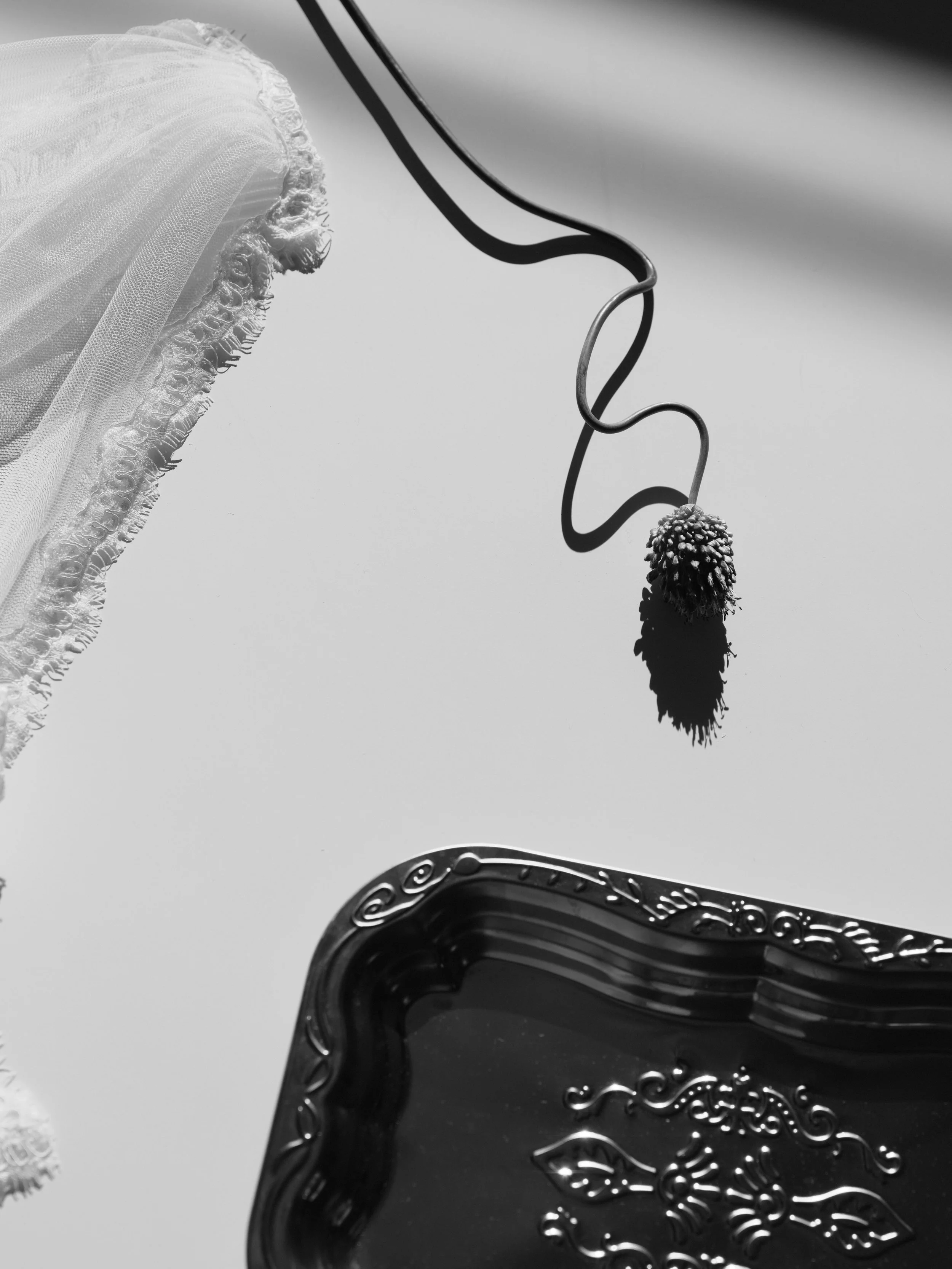 Cartagena Lace Classic Veil