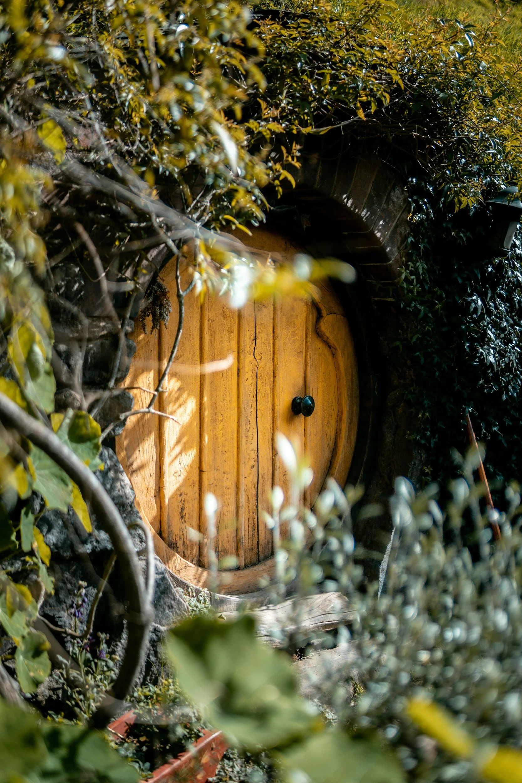 Hobbits Had Guardians. We Have a Patient Portal.