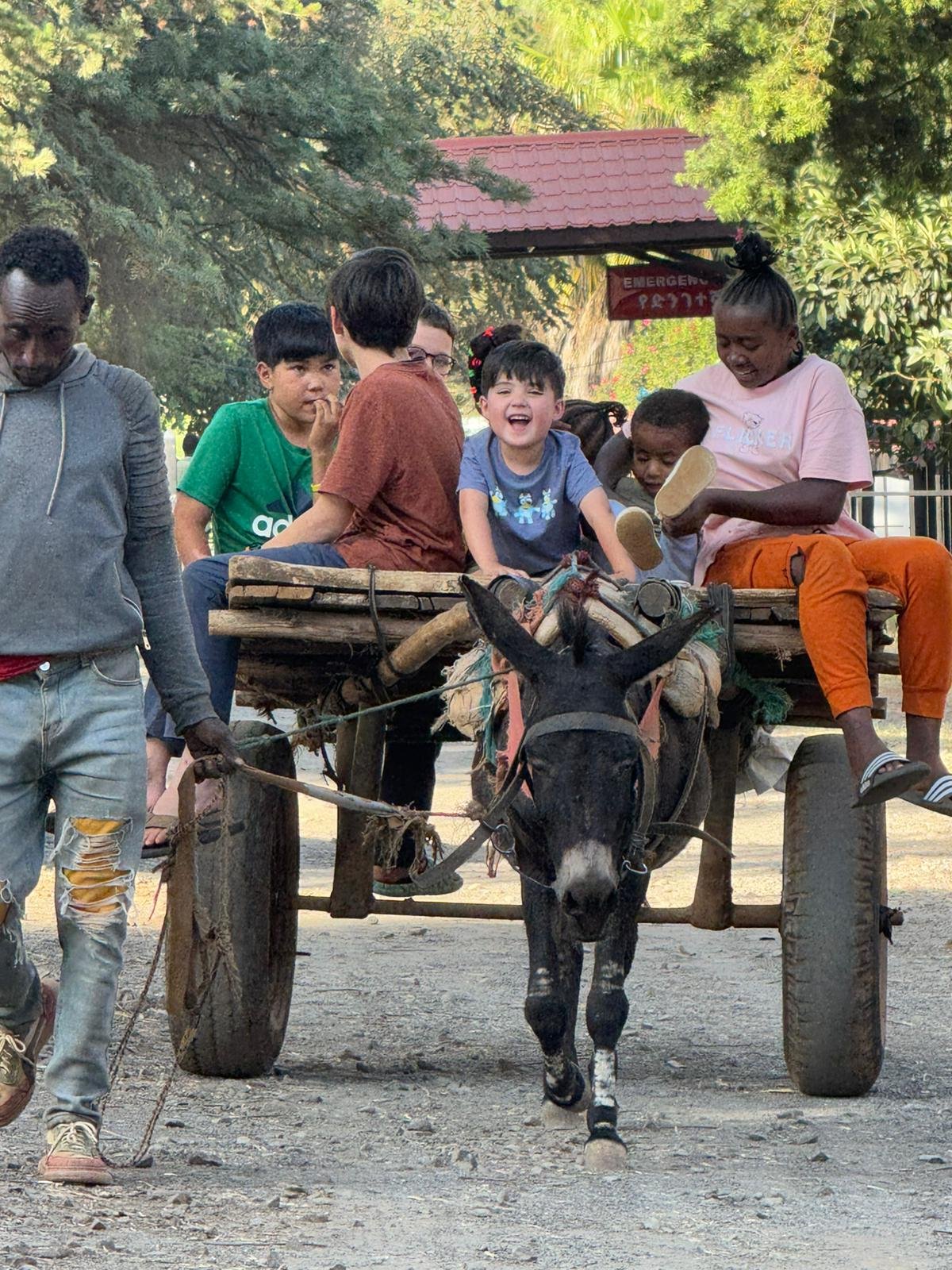 Nothing says Christmas like... Donkey cart rides