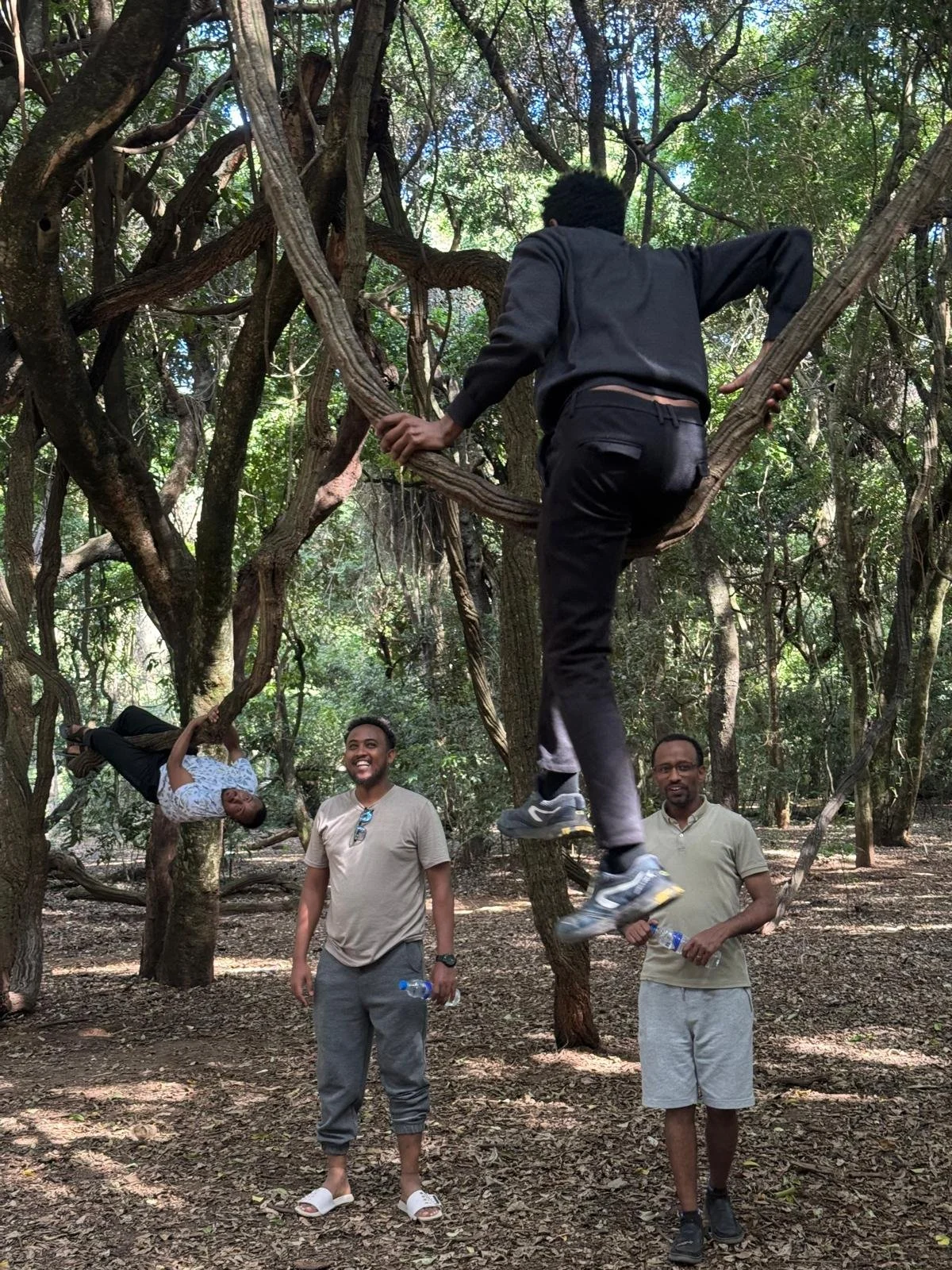 WhatsApp Image 2025-11-03 at 11.55.57_6fca96eb.jpg