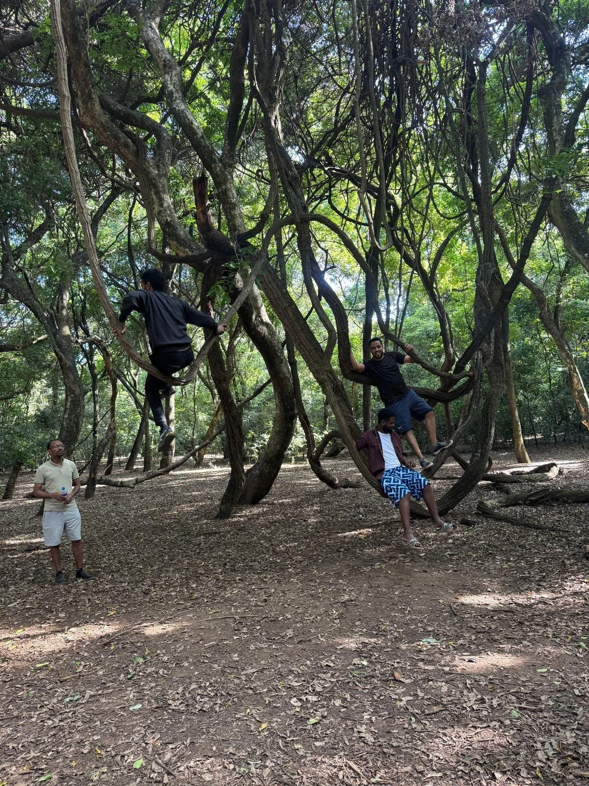 WhatsApp Image 2025-11-03 at 11.55.58_a6cd52de.jpg