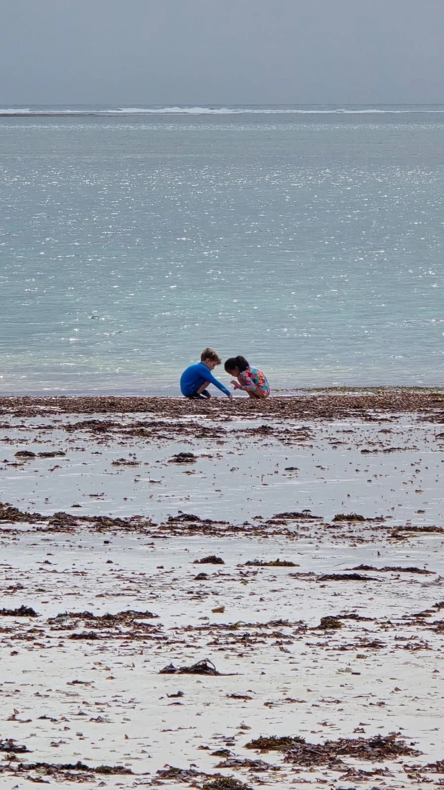 WhatsApp Image 2026-01-29 at 3.58.25 PM-2.jpeg