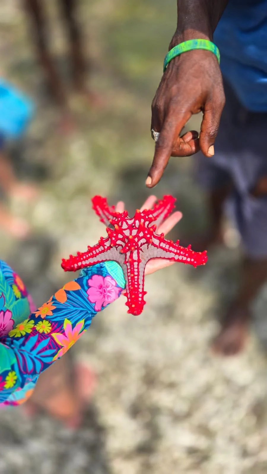 WhatsApp Image 2026-01-29 at 3.58.29 PM-4.jpeg