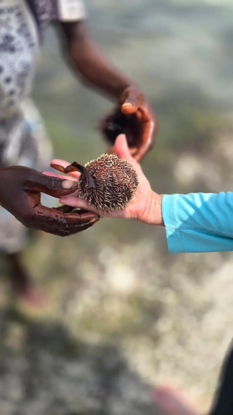 WhatsApp Image 2026-01-29 at 3.58.29 PM-5.jpeg