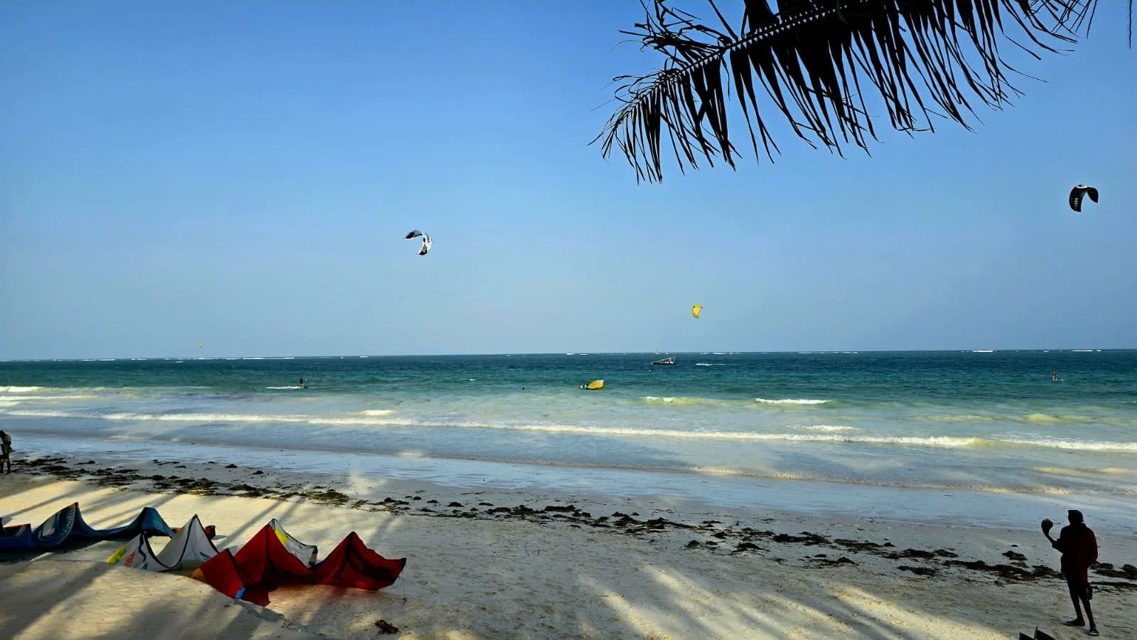 WhatsApp Image 2026-01-29 at 3.58.30 PM-6.jpeg