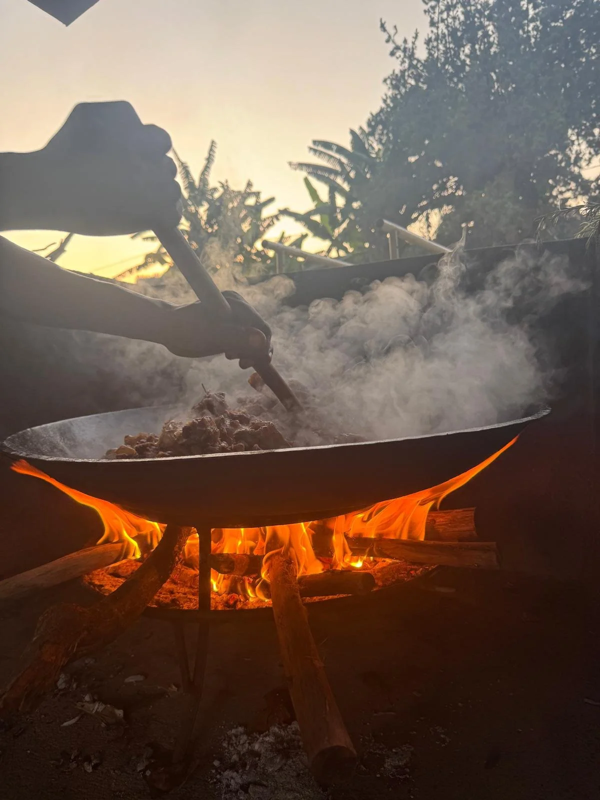 Goat party to celebrate the new faculty and the new residents!