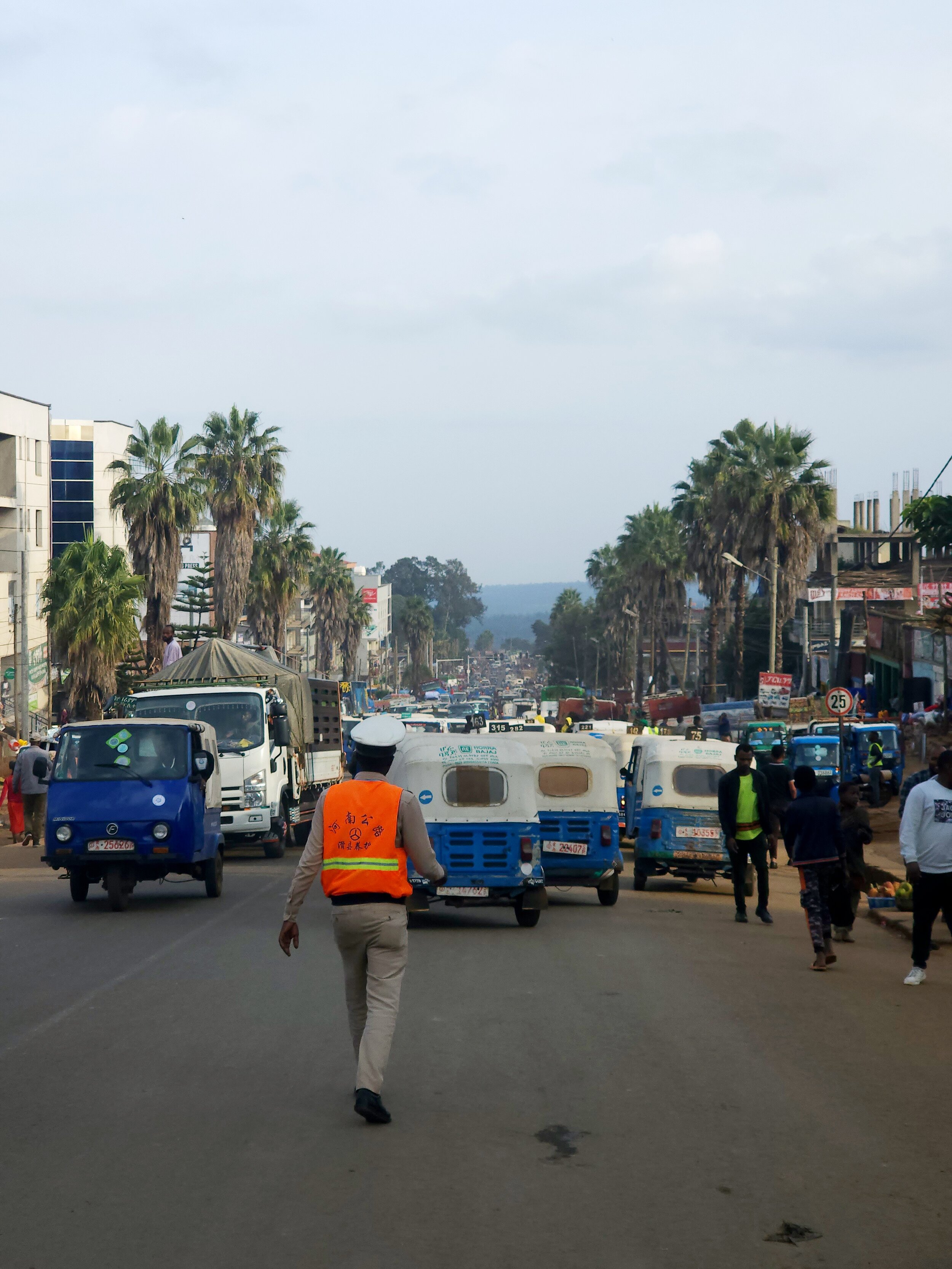 Street scene with traffic, including three-wheel vehicles and trucks, a person in an orange vest directs traffic, flanked by palm trees and buildings, pedestrians on the sidewalk.