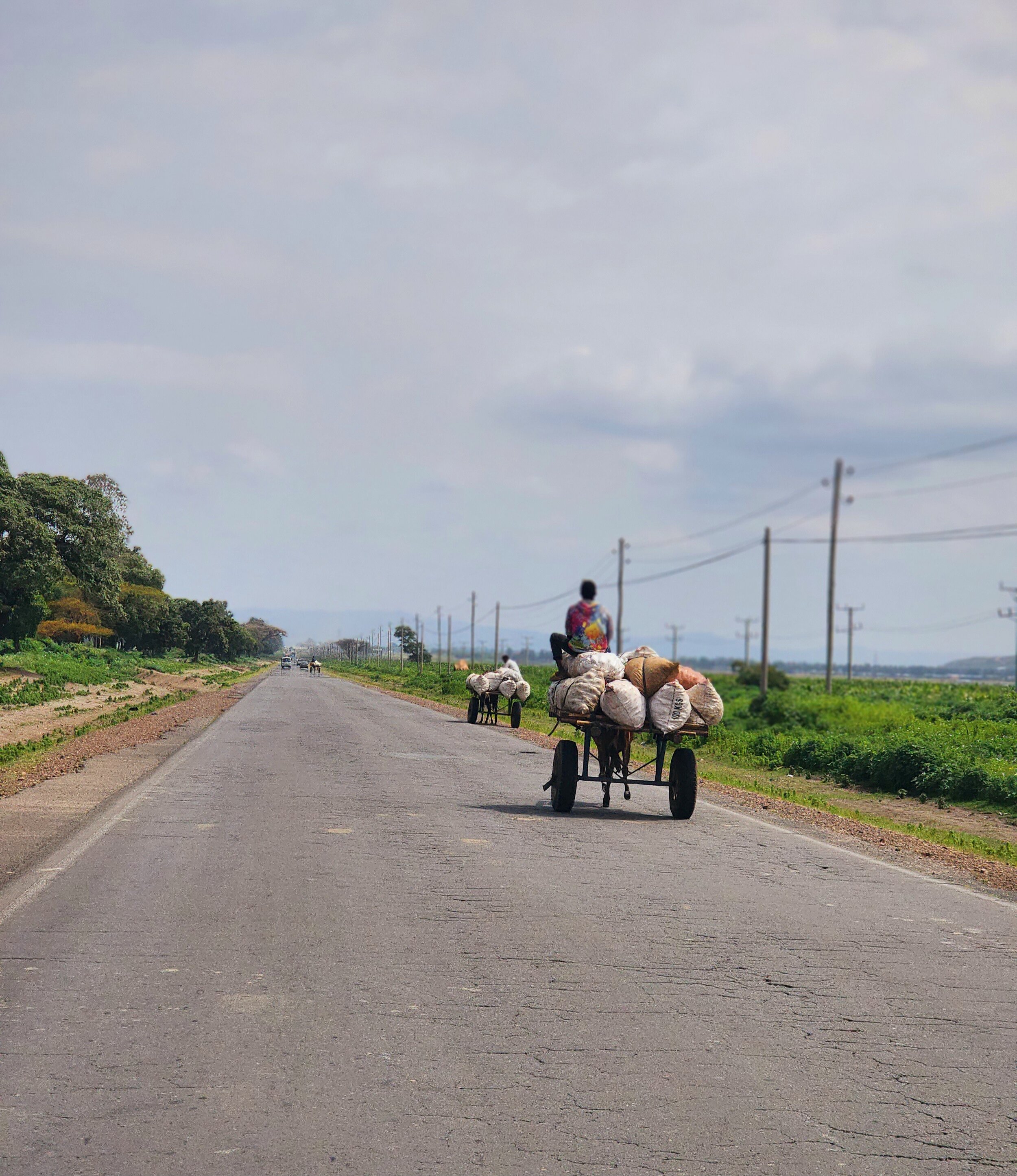 Person riding a cart pulled by a donkey on a rural Ethiopian road, with another cart in the distance, surrounded by green fields and power lines.