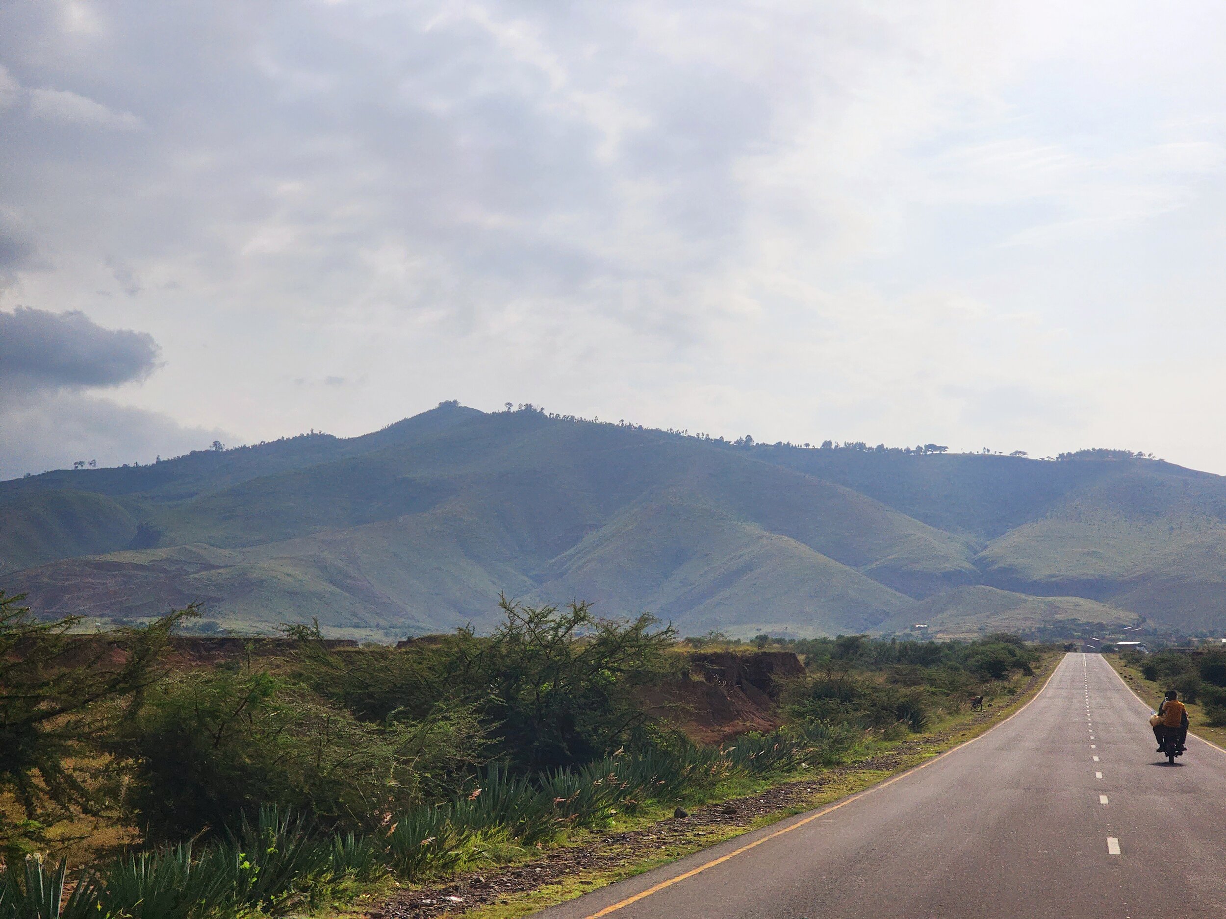 A scenic view of a winding road in Ethiopia leading towards lush, green mountains under a partially cloudy sky. An Ethiopian man rides a motorcycle on the road, surrounded by sparse vegetation.