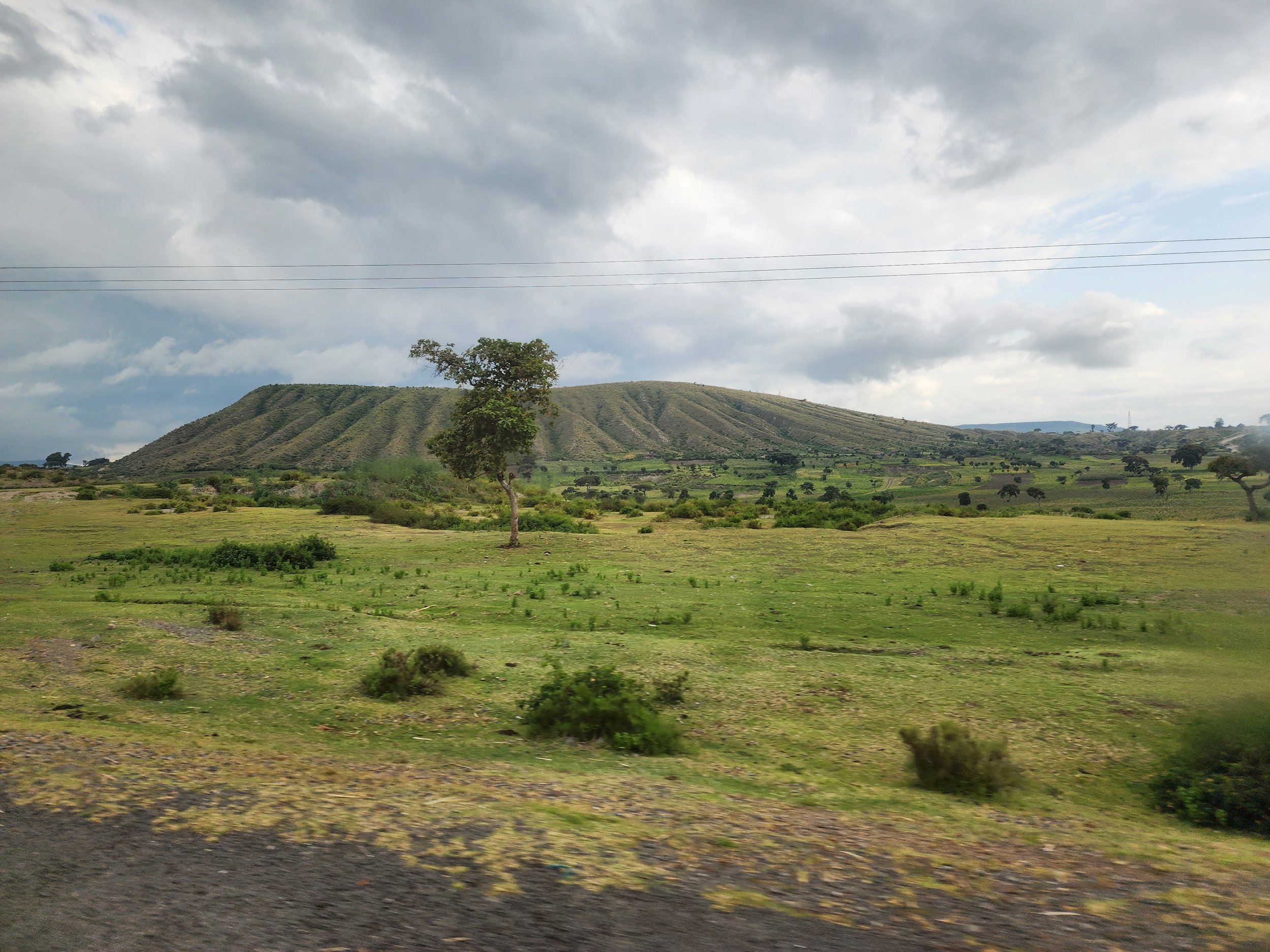 Green landscape with a lone tree, grassy fields, and hills in the background under a cloudy sky in Ethiopia.