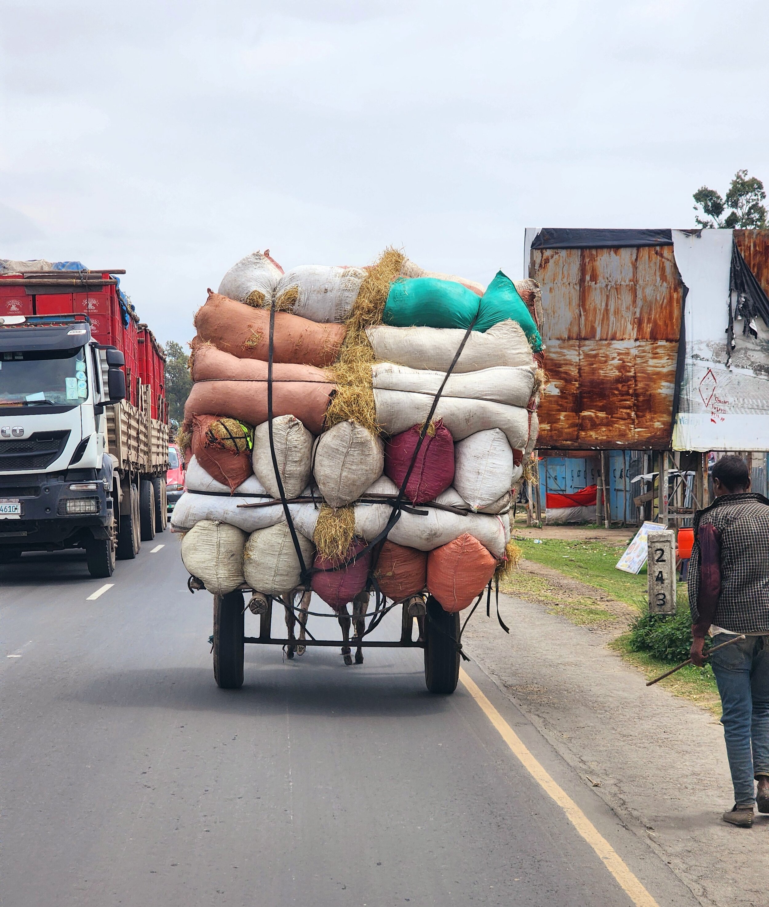 A horse-drawn cart loaded with large sacks filled with goods, traveling on a road beside a truck in Ethiopia. The cart is tied with ropes, and a person walks beside it on the road.