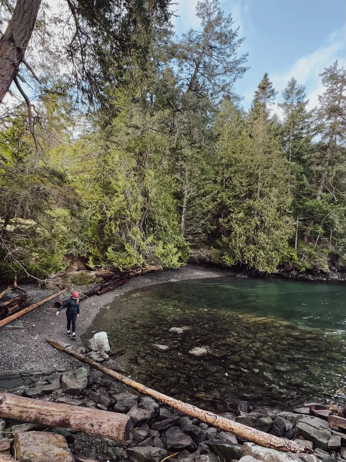 Salt Spring snaps &sdot;.˳˳.&sdot;ॱ˙˙ॱ&sdot;.˳˳.&sdot;ॱ˙˙ॱ&sdot;.˳˳.&sdot;