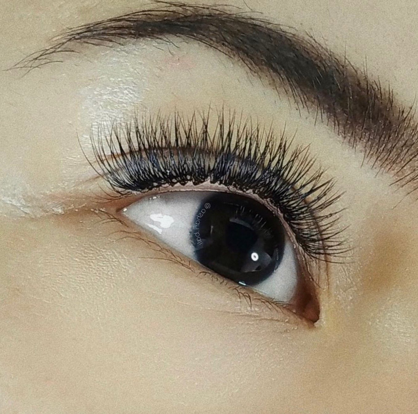 Slide to see our updates lash menu &gt;&gt;&gt;
.
.
.
#EyelashBali #LashStudioBali #LashExtensionsBali #Asharibali #homeservice
#VolumeLashes #HybridLashes #ClassicLashes #LashSalonBali #LashTechBali