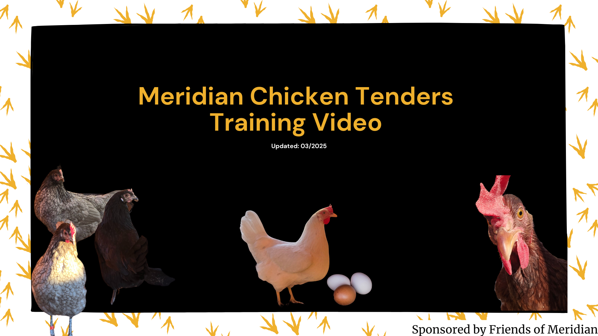 Chicken Training Video