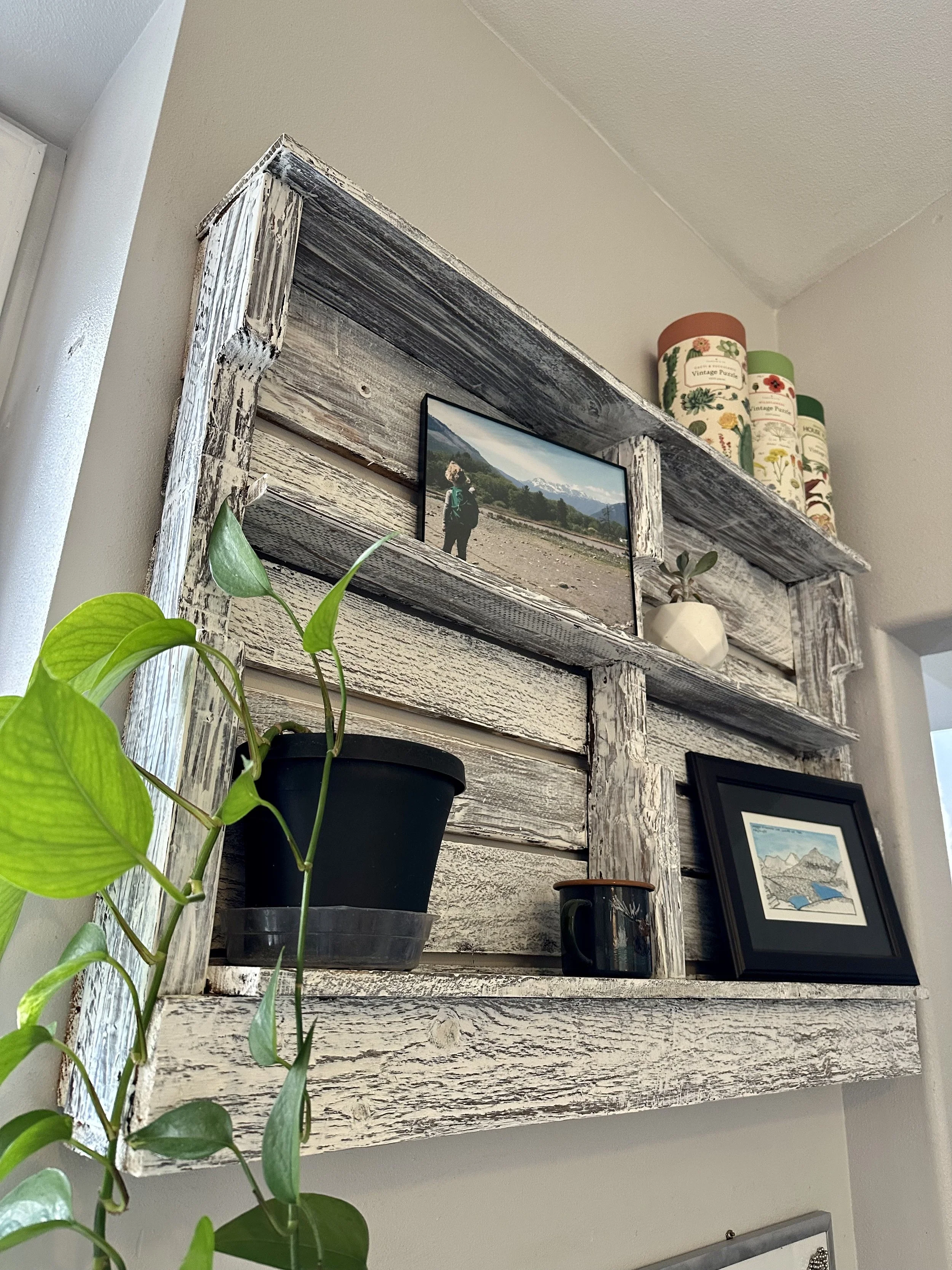 Pallet shelf 4.jpg