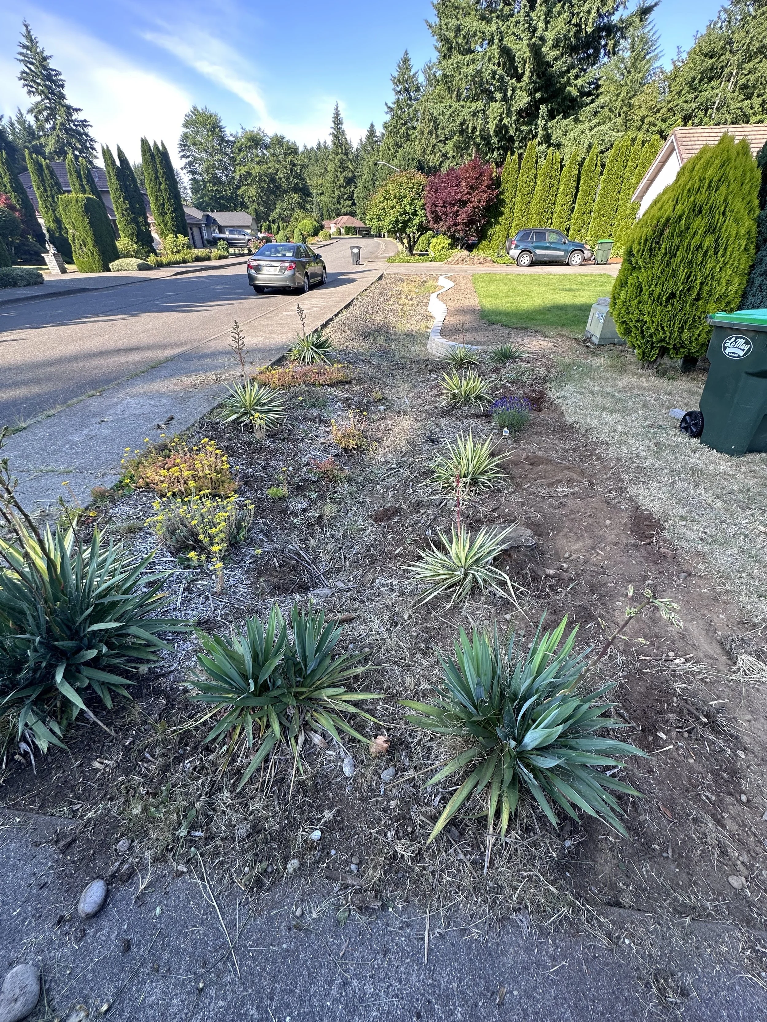 cutting grass lline small ditch.jpg