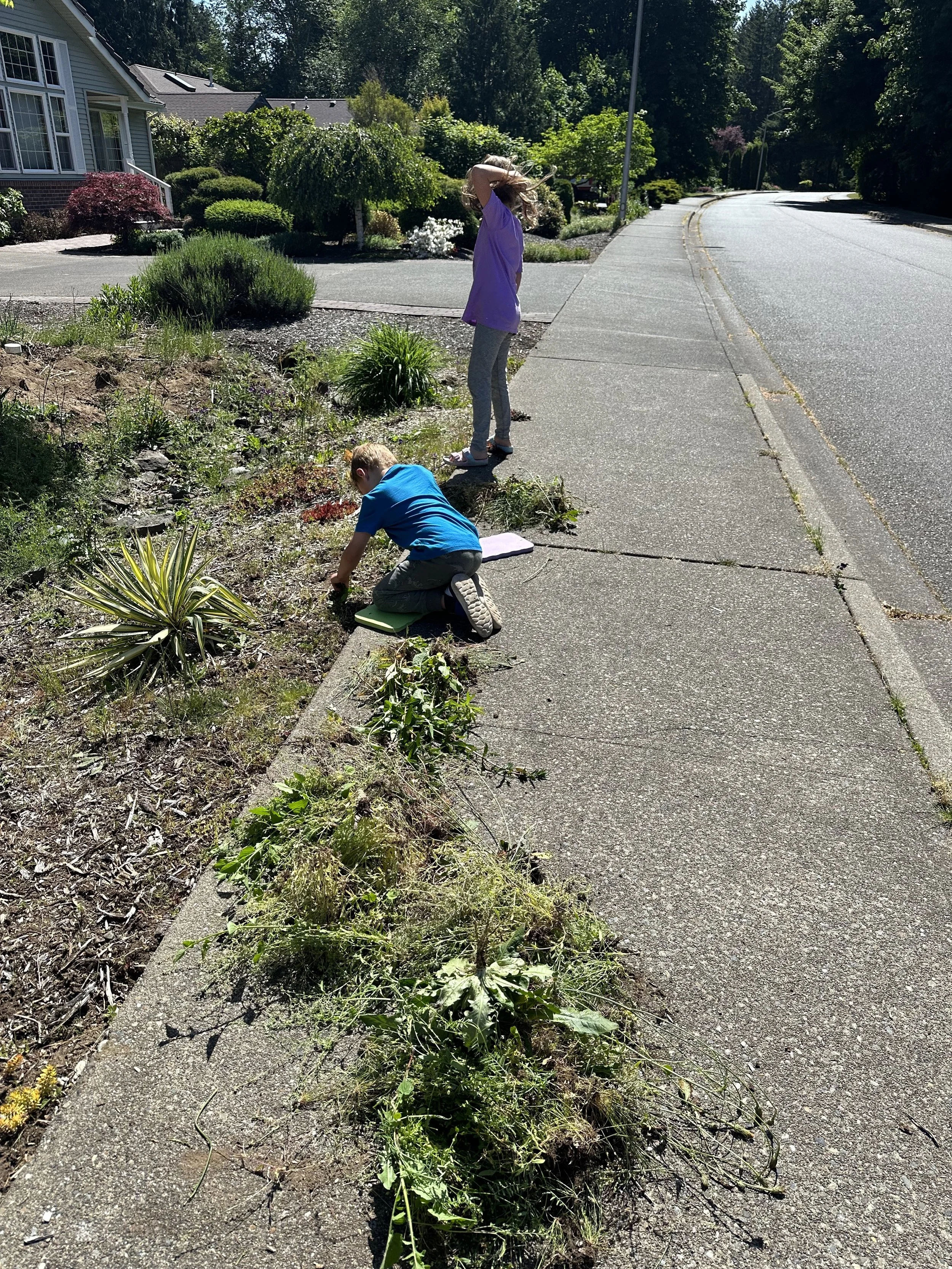 kids helping weed ditch.jpg