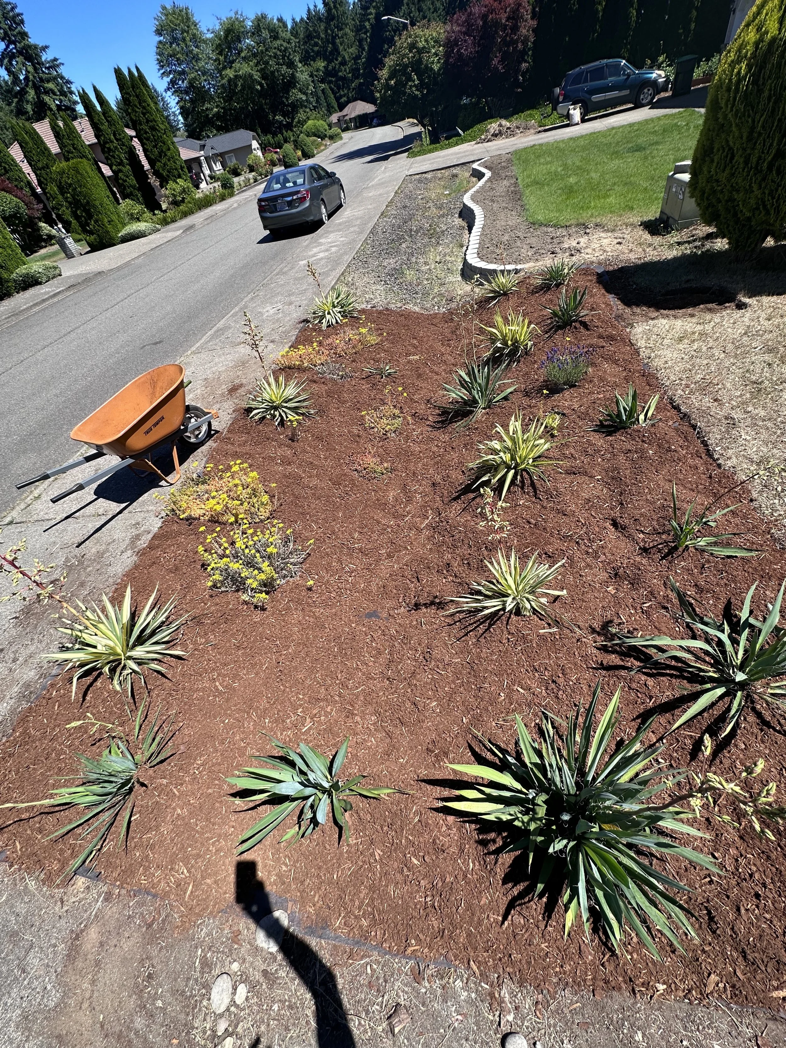 skim coat ditch finished.jpg