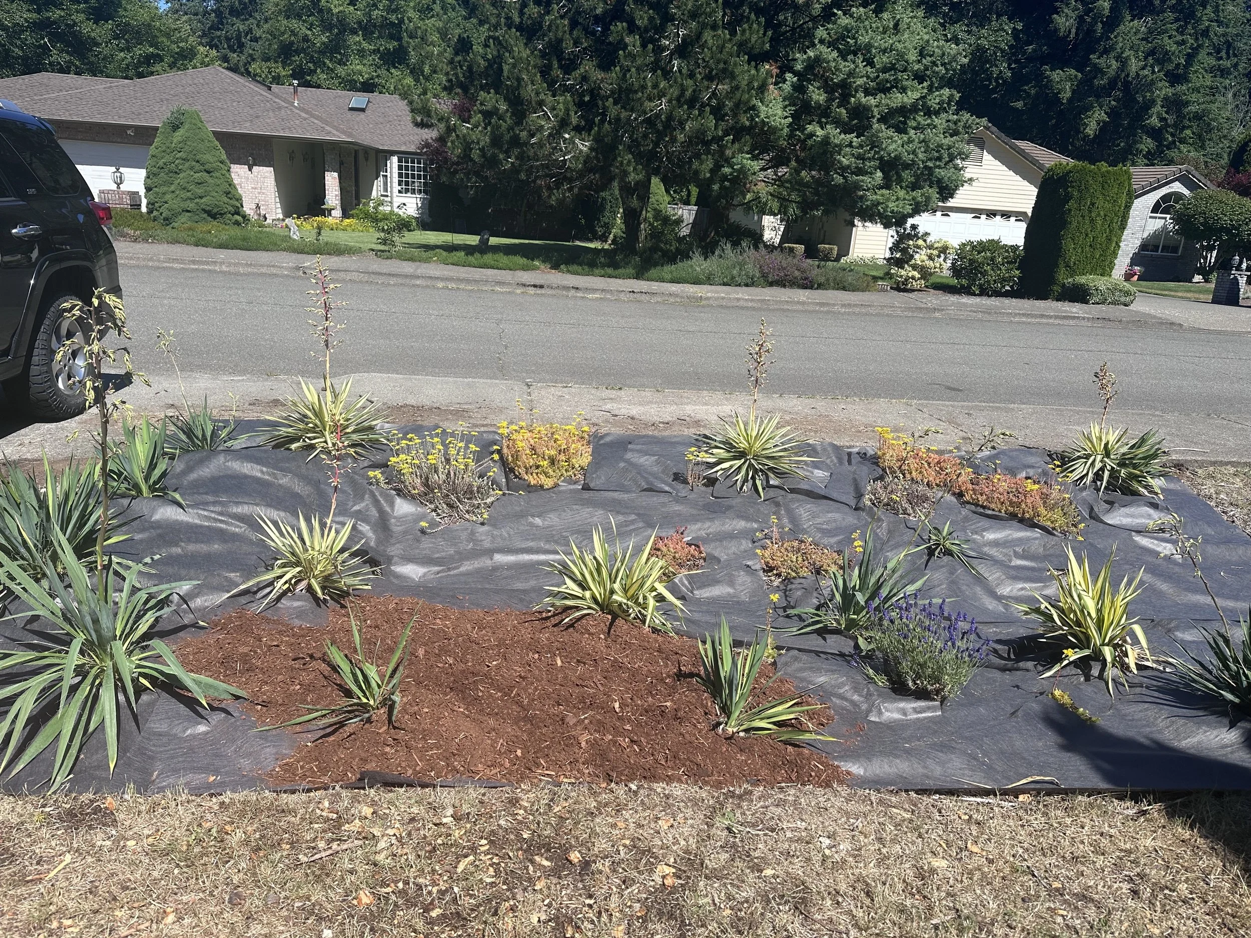 start bark small ditch.jpg