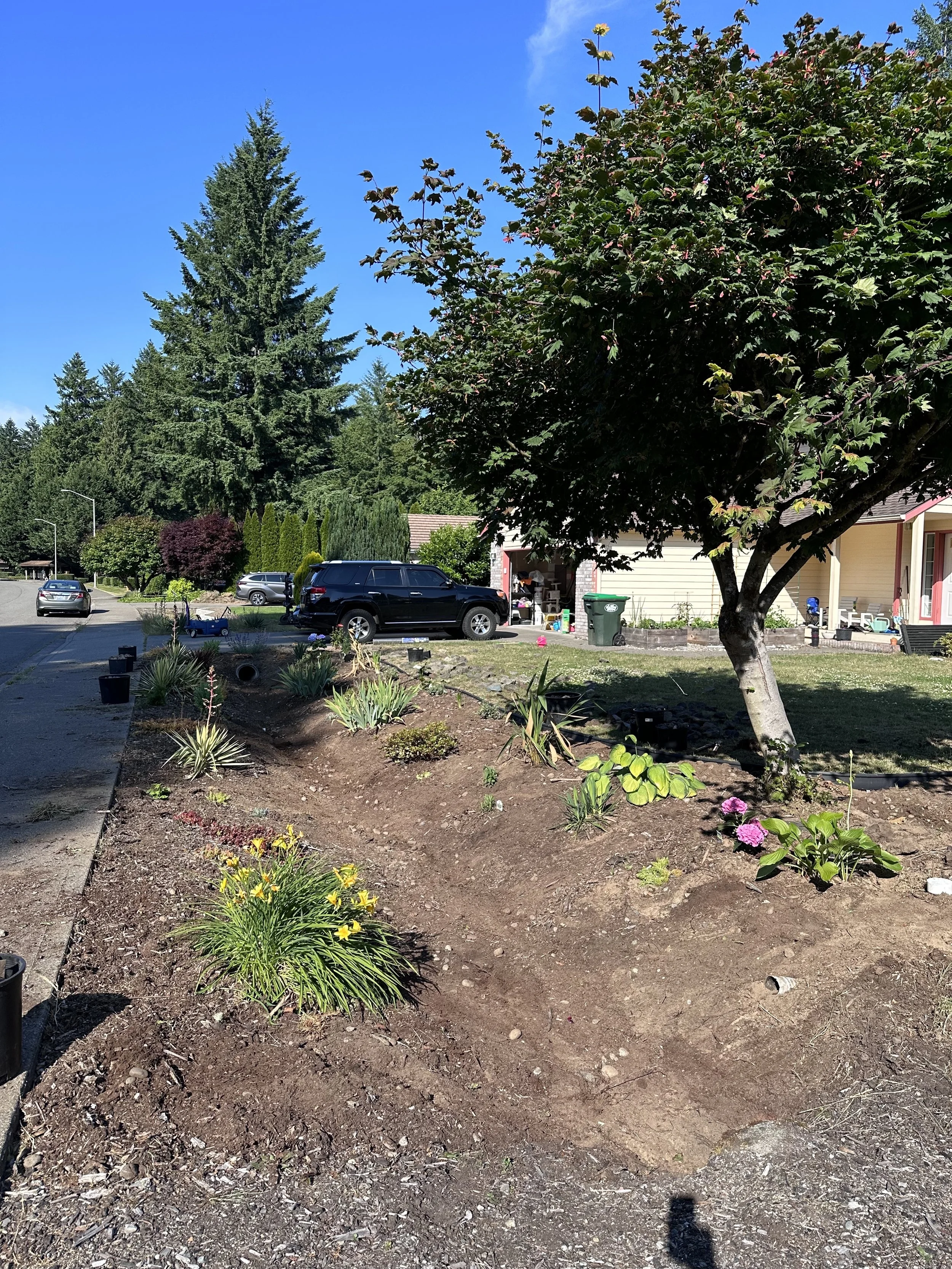 weeded ditch.jpg