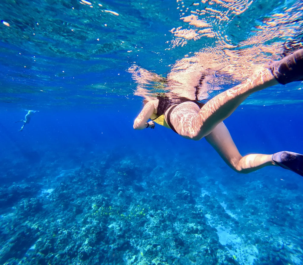 GPTempDownload 5.jpeg