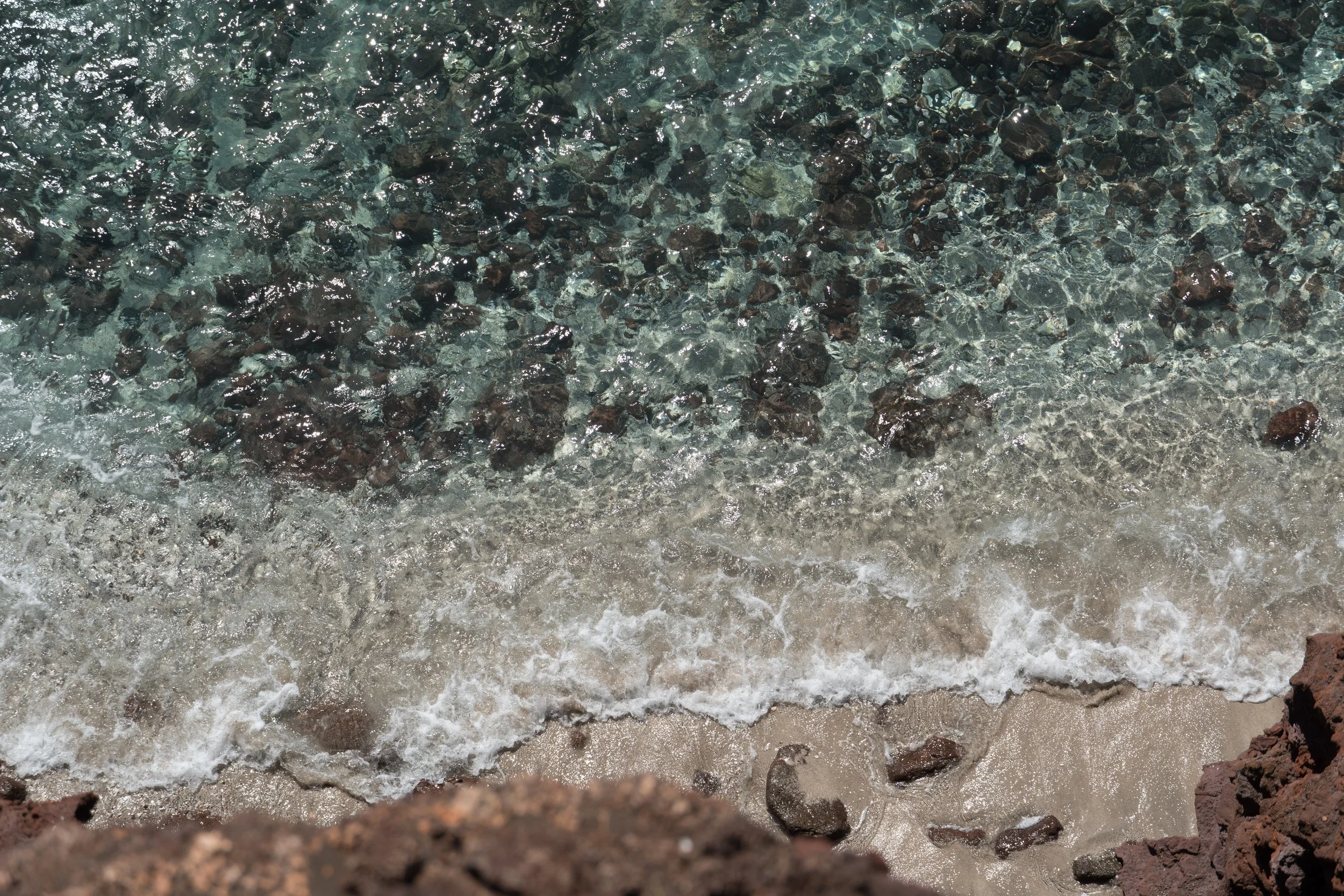 _DSC9663.JPG