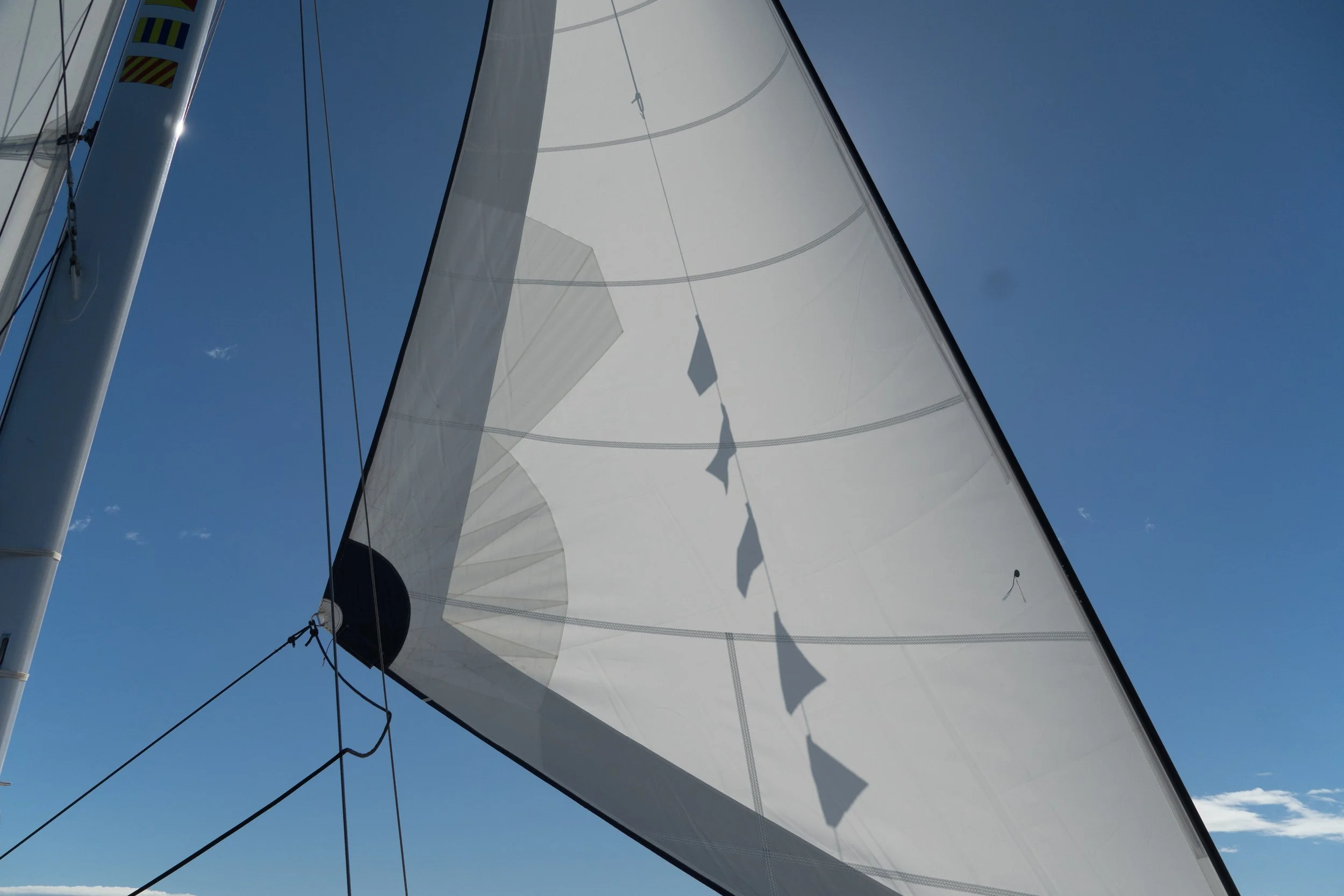 _DSC9805.JPG
