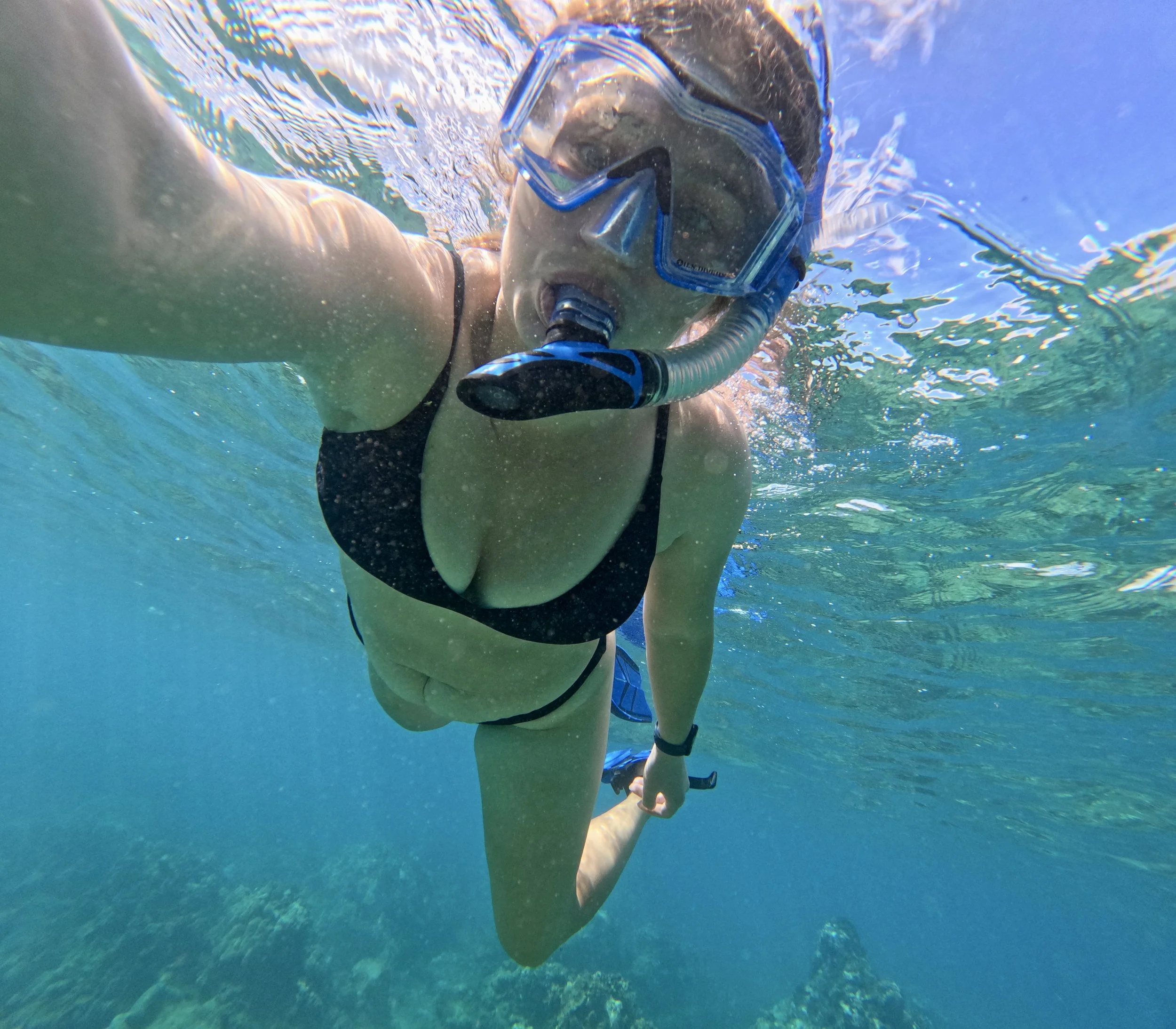 GPTempDownload 10.jpeg